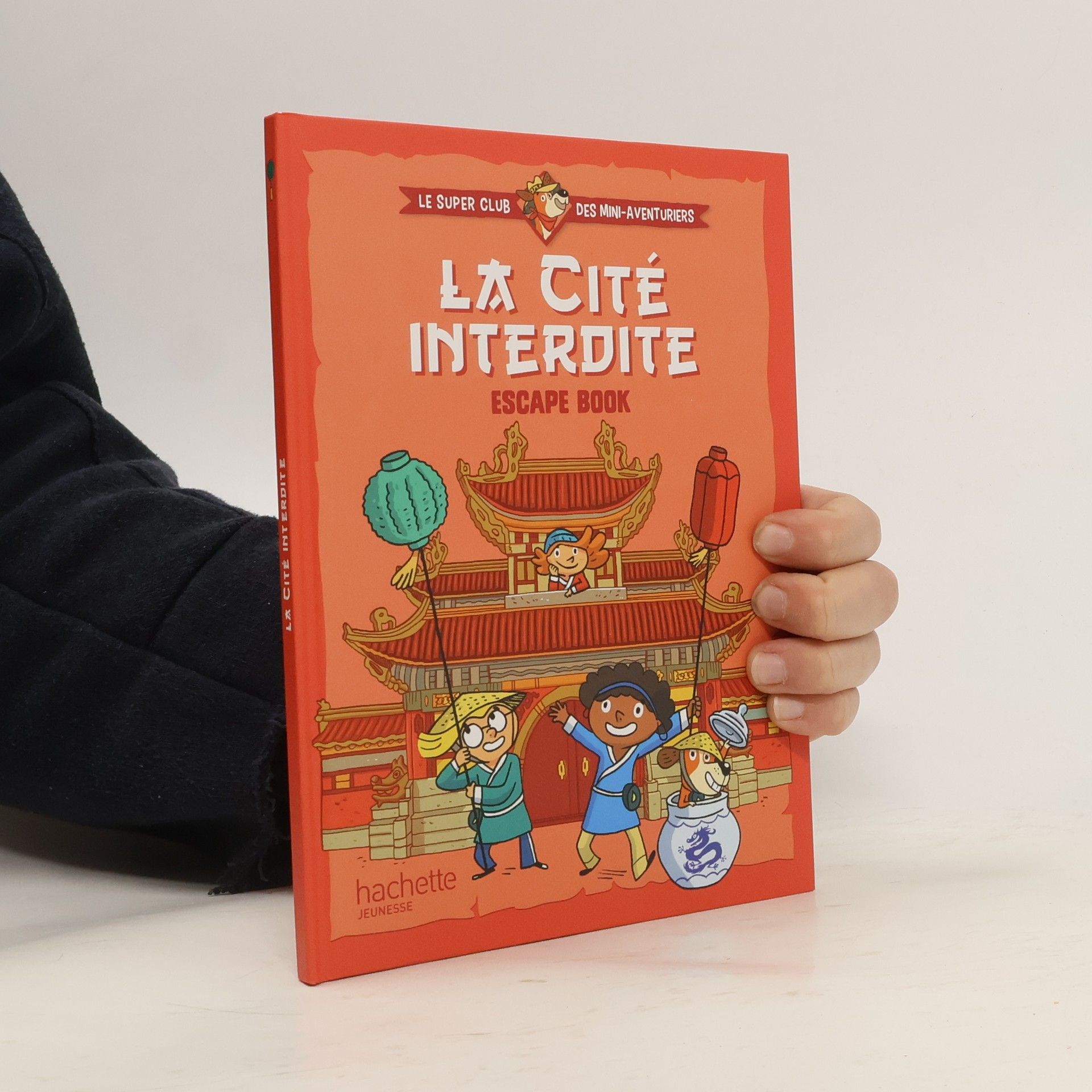 Kolektiv autorů La cité interdite