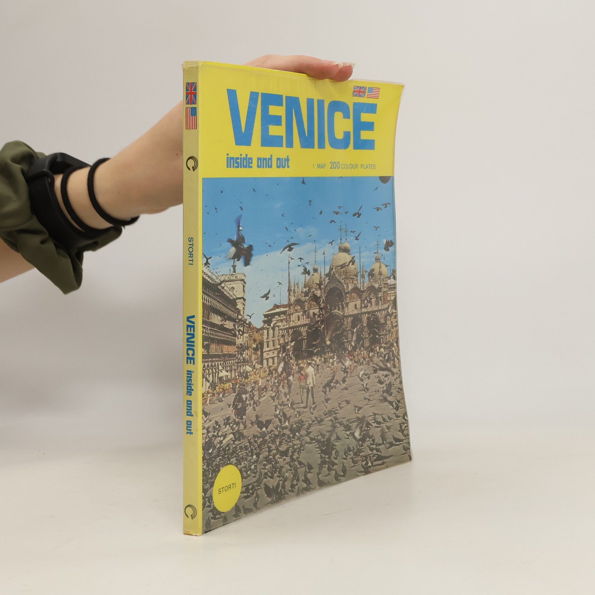 Amedeo Storti Venice Inside and Out