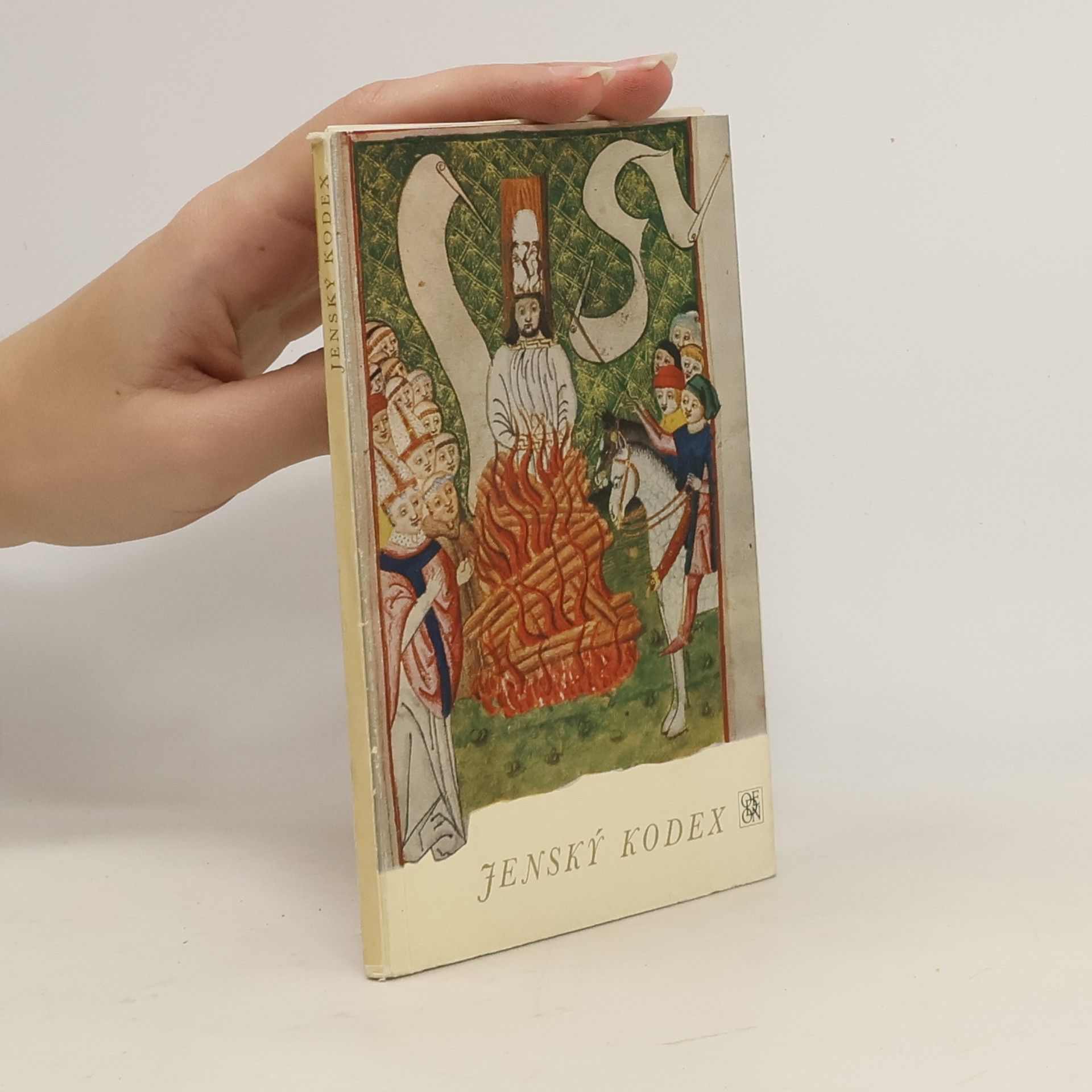 Zoroslava Drobná Jenský kodex