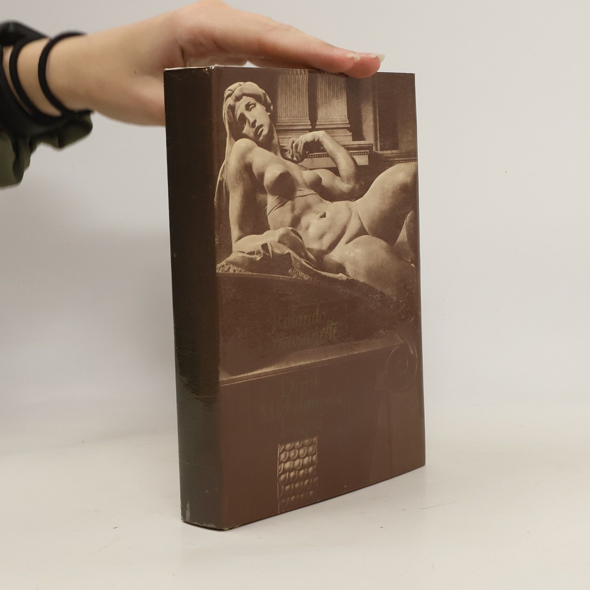 Deník Michelangela blázna