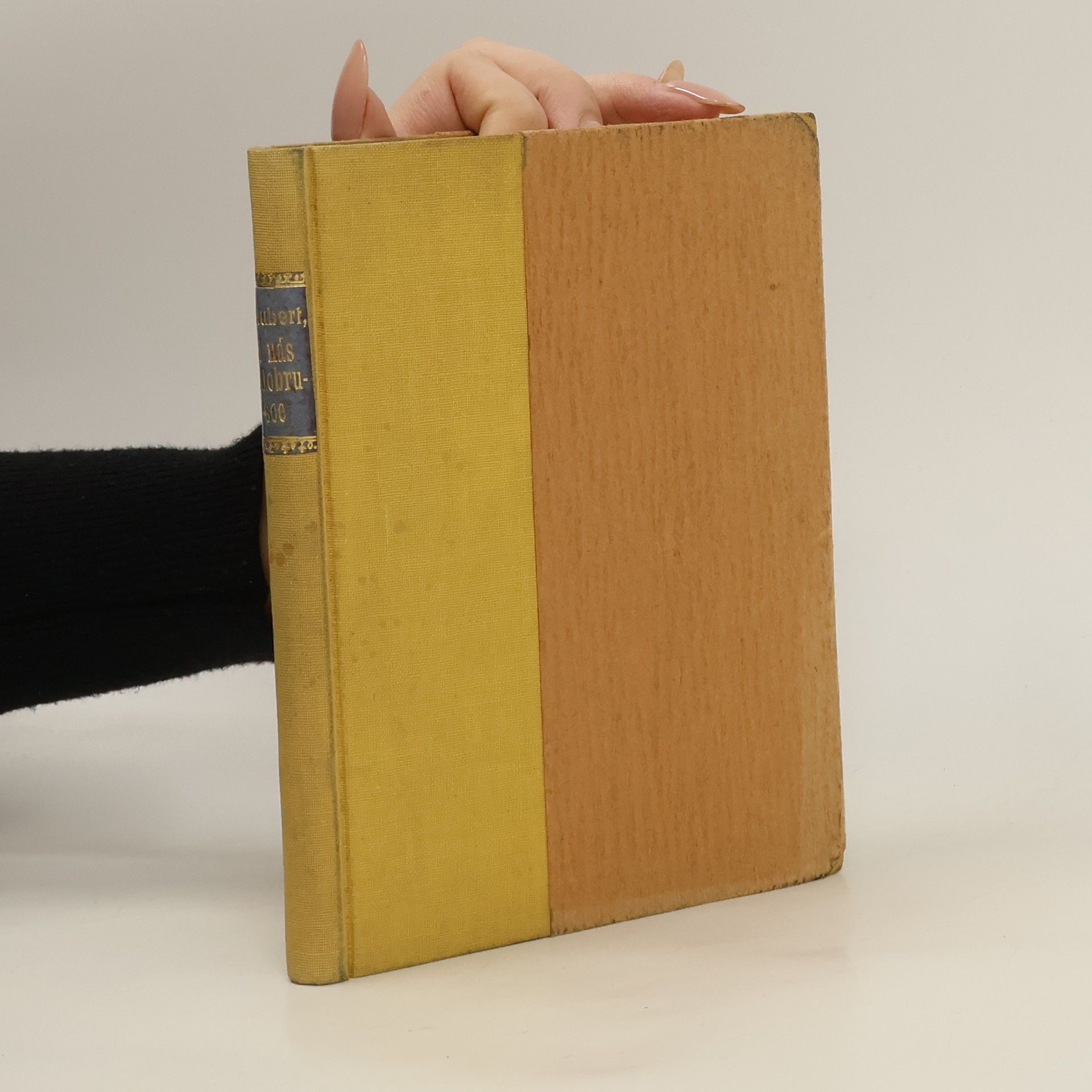 František Adolf Šubert U nás v Dobrušce