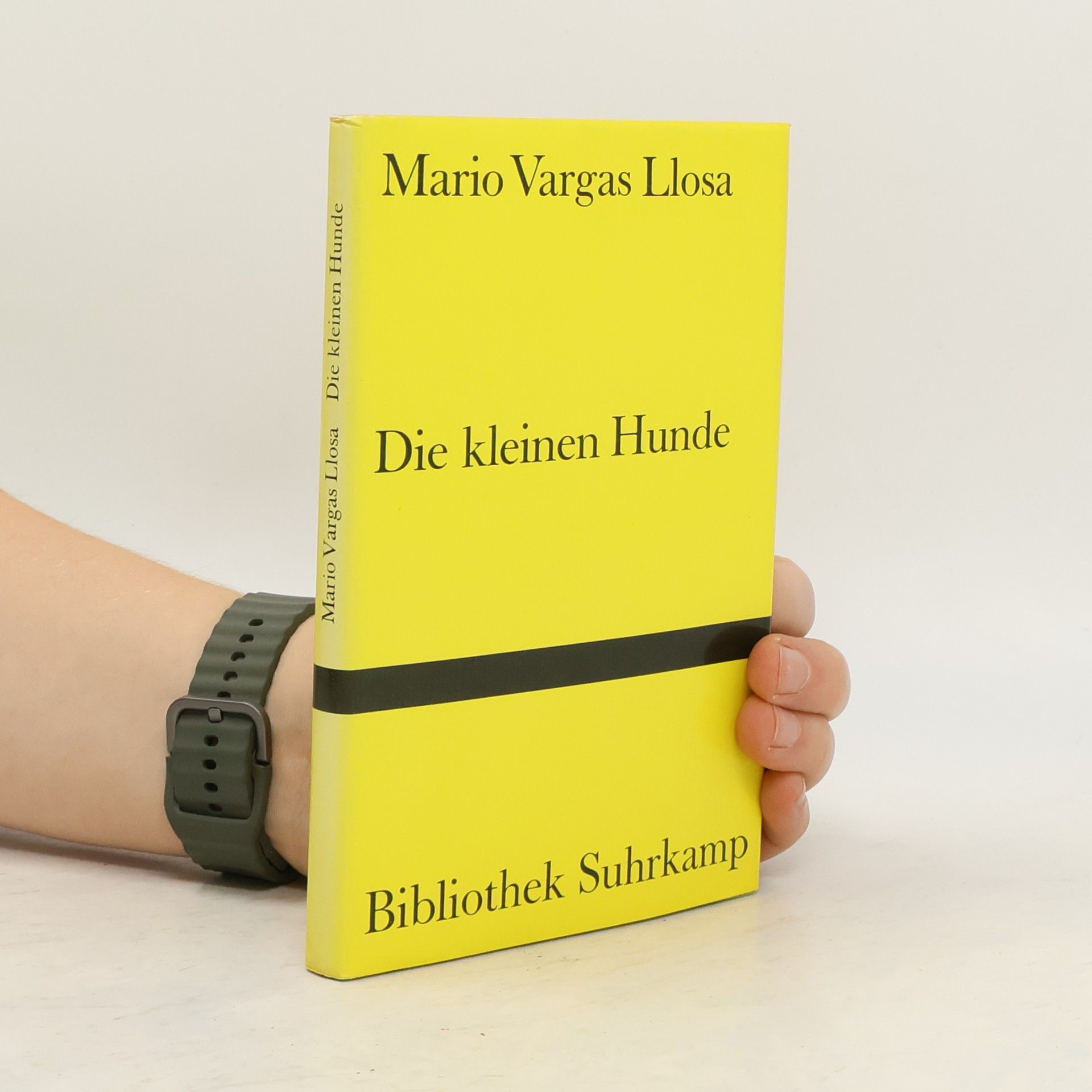 Mario Vargas Llosa Die kleinen Hunde