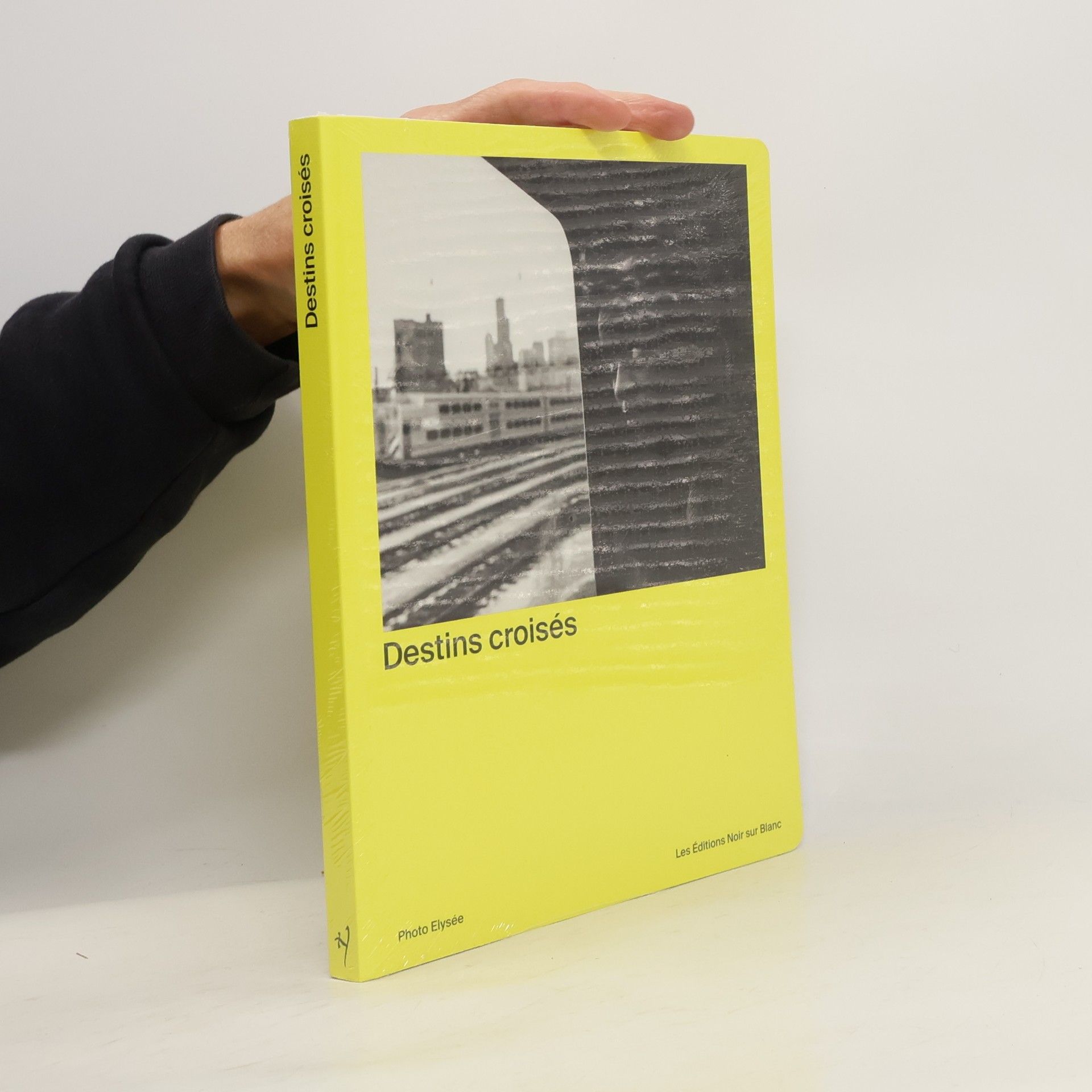 Marco Costantini  Destins croisés