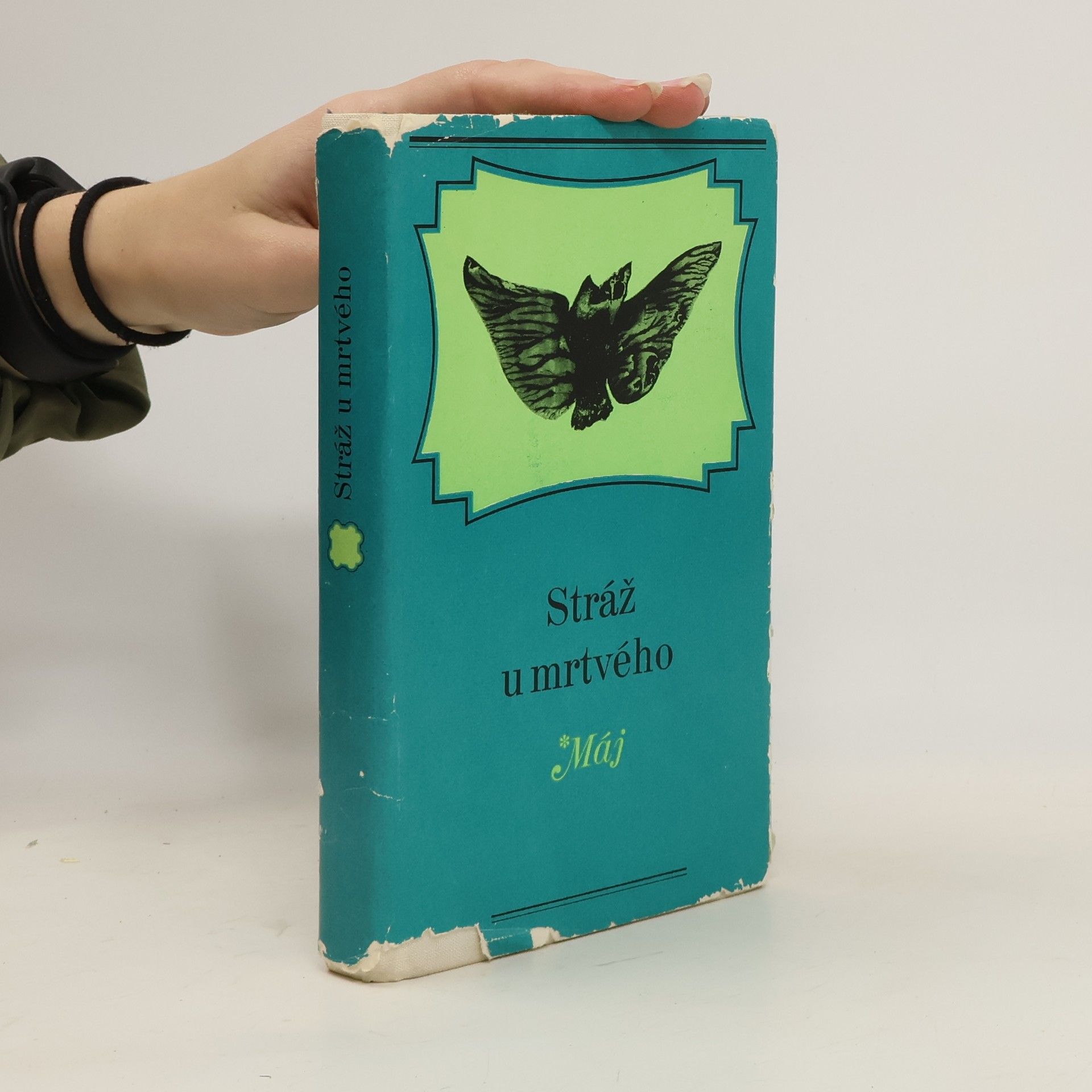 Collectif d'auteurs Stráž u mrtvého