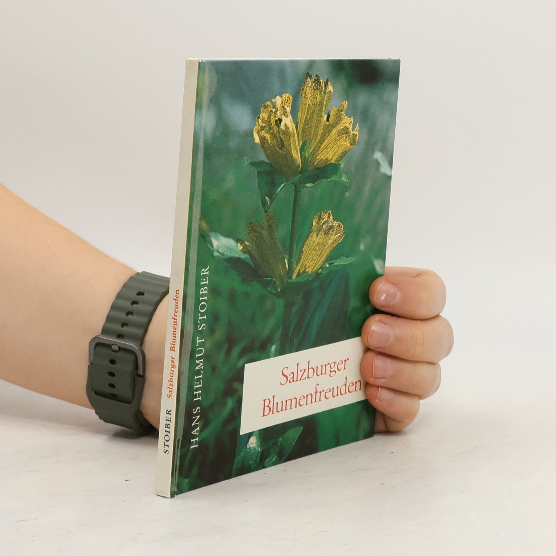 Hans Helmut Stoiber Salzburger Blumenfreuden