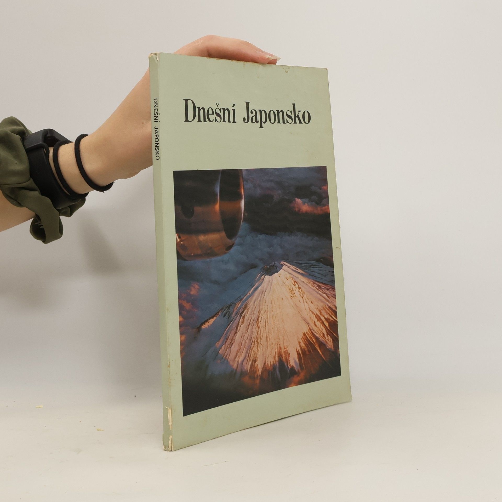 Collectif d'auteurs Dnešní Japonsko