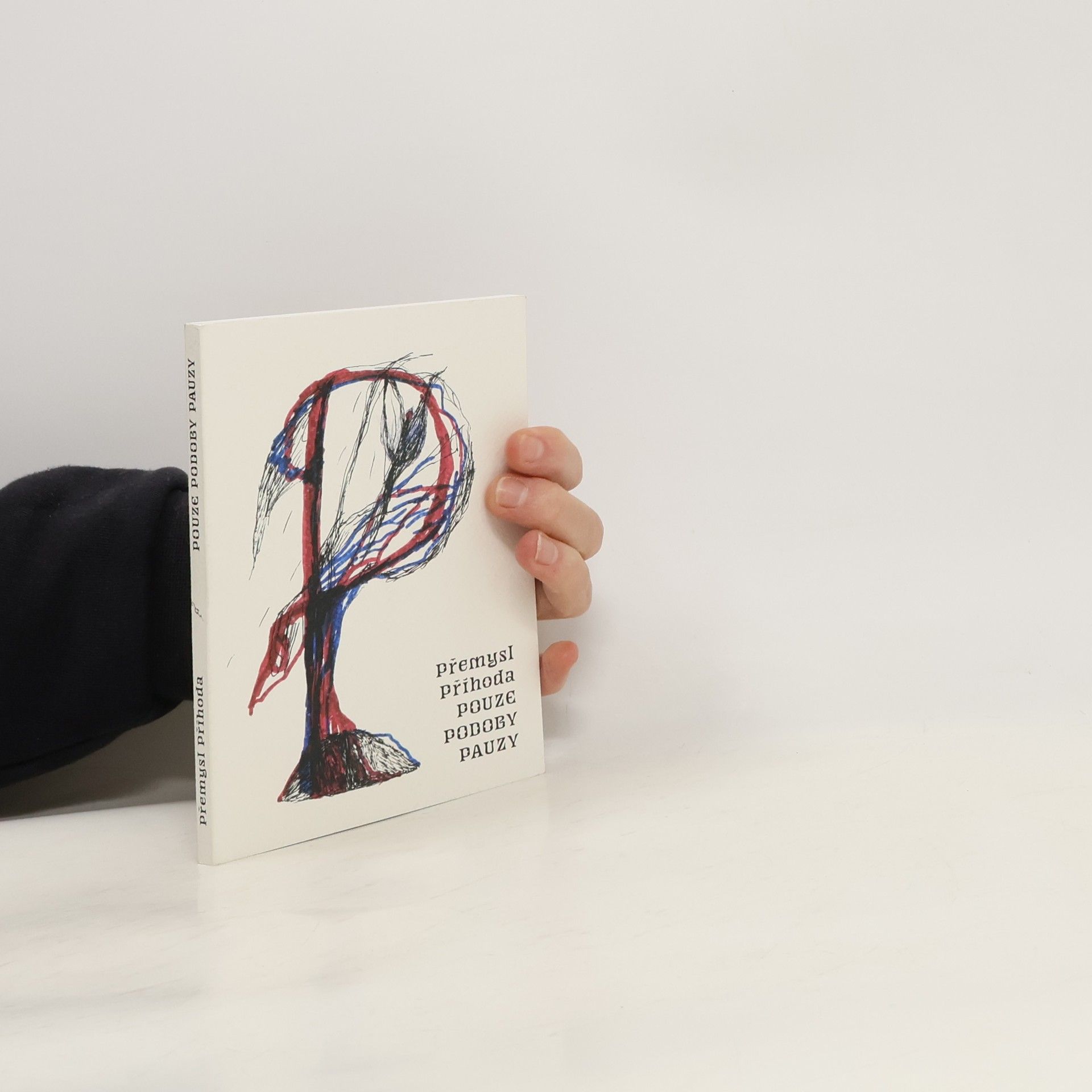 Přemysl Příhoda Pouze podoby pauzy