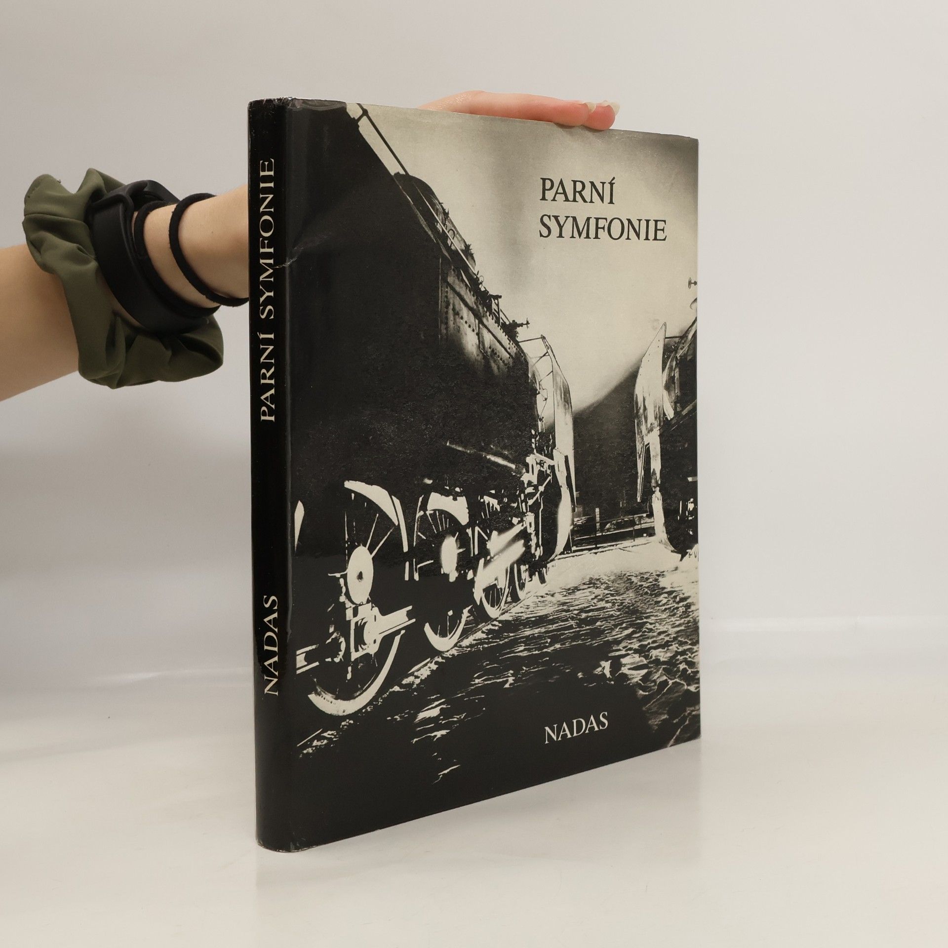 Karel Soukup Parní symfonie