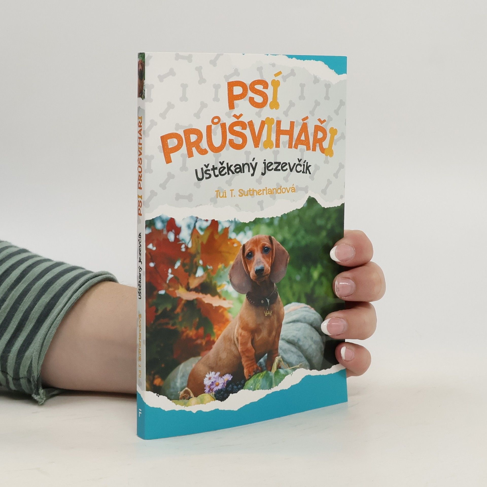 Tui Sutherland Psí průšviháři – Uštěkaný jezevčík