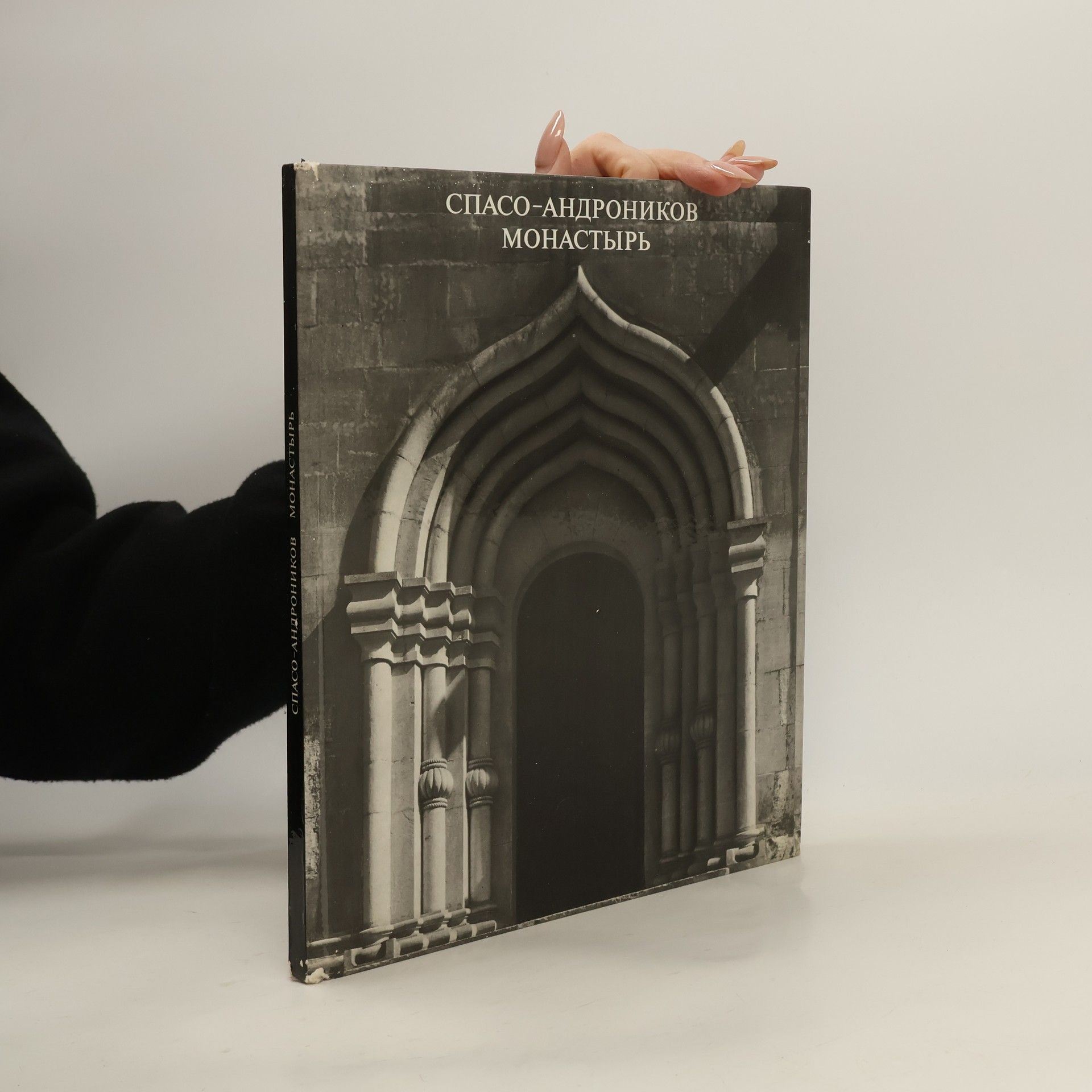 Kolektiv autorů Спасо-Андроников монастырь