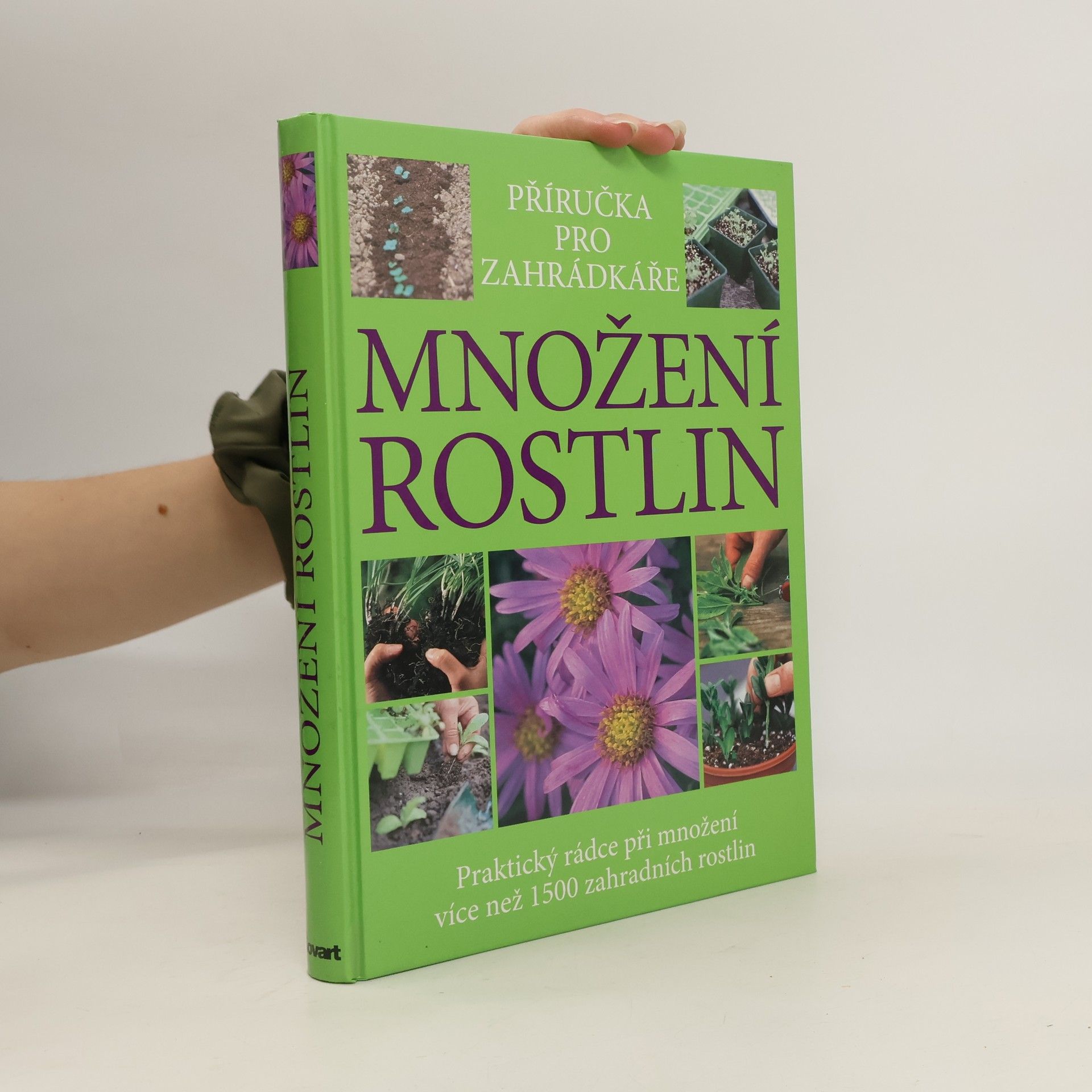Množení rostlin