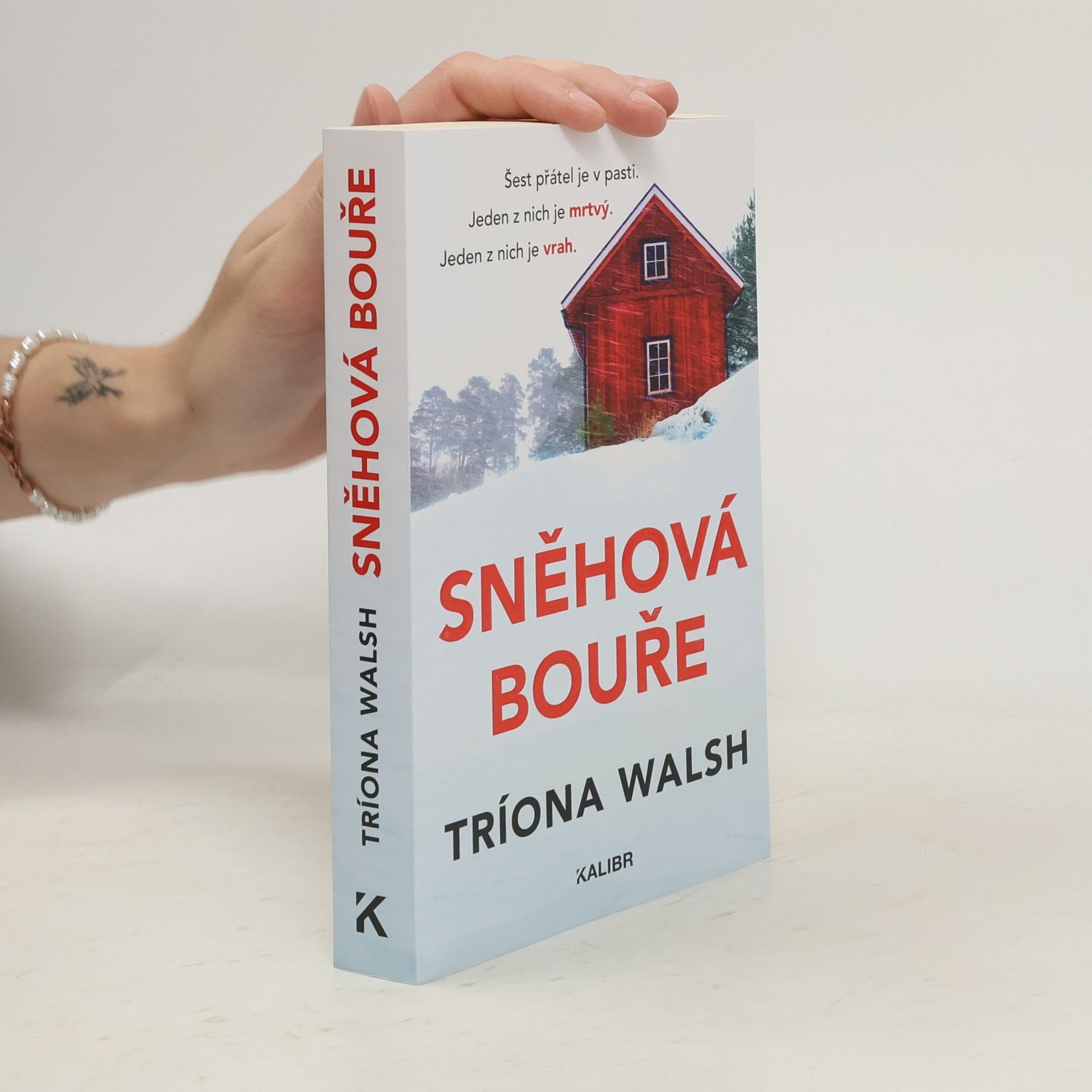 Tríona Walsh Sněhová bouře
