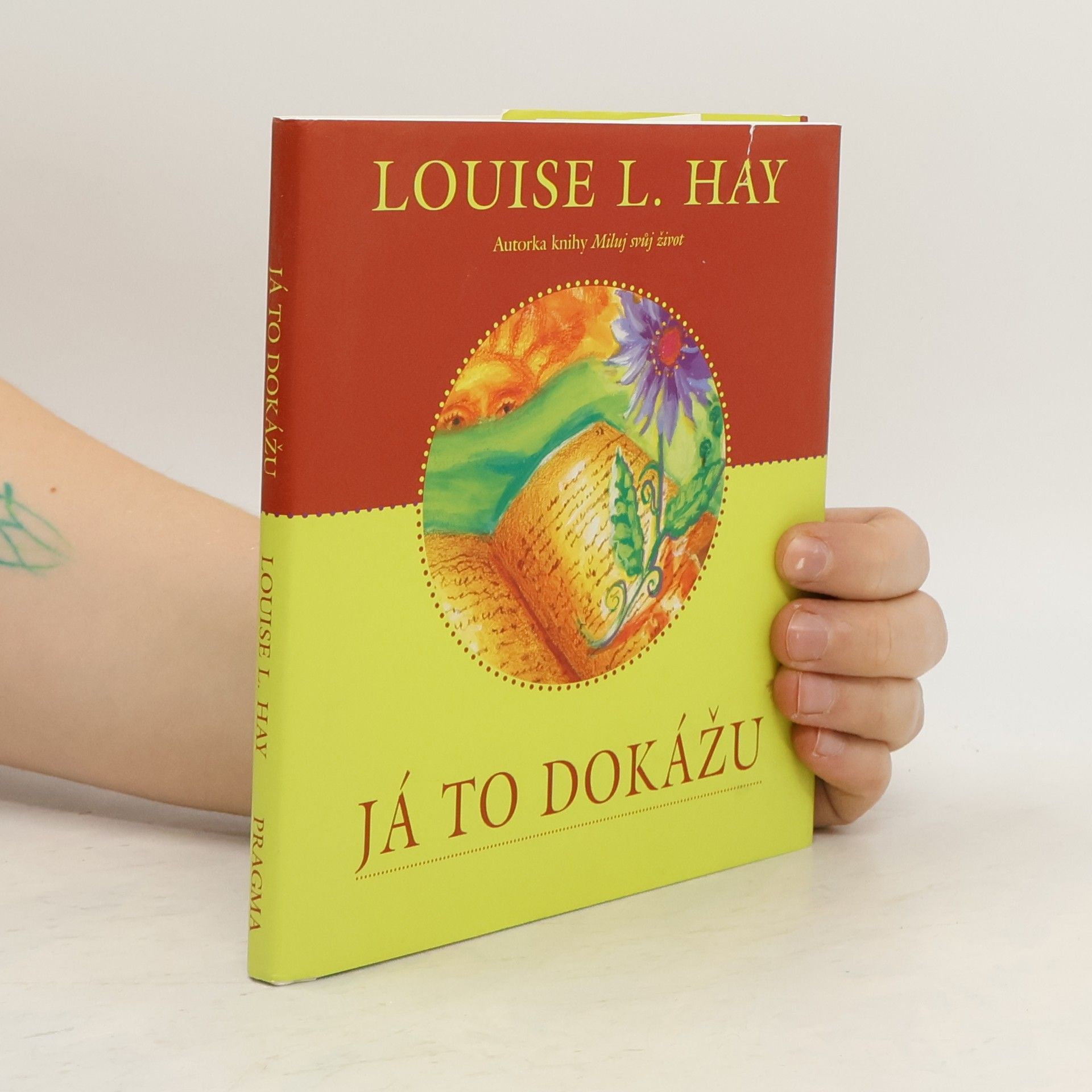 Lousie L. Hay Já to dokážu