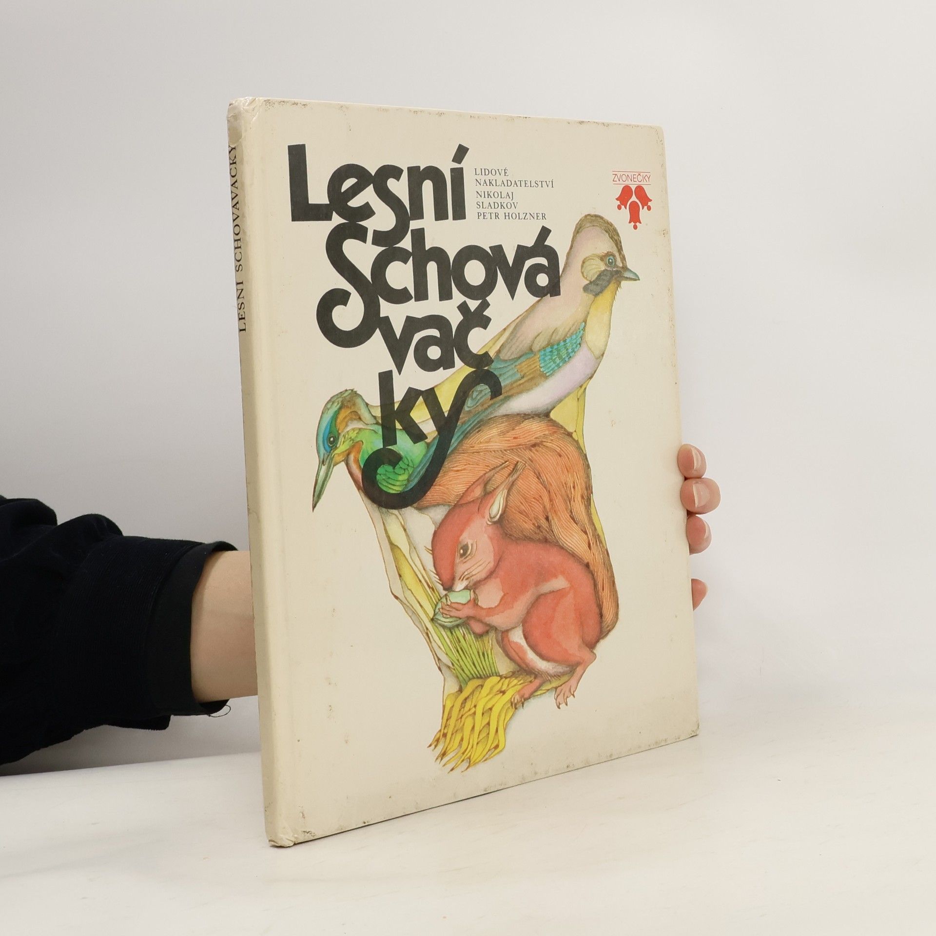 Lesní schovávačky