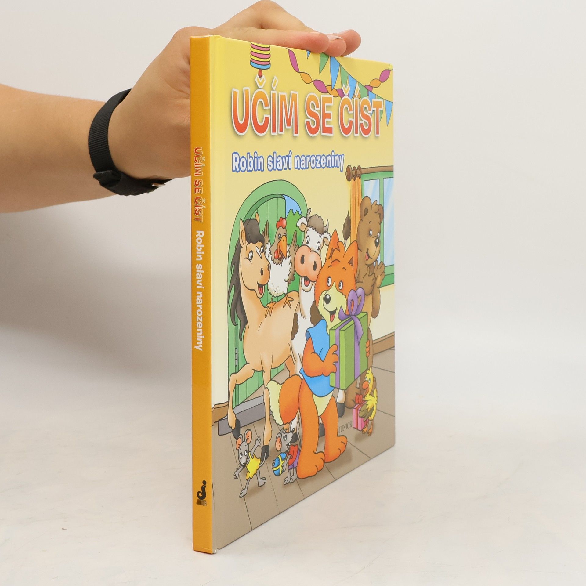 Kolektiv autorů Učím se číst: Robin slaví narozeniny