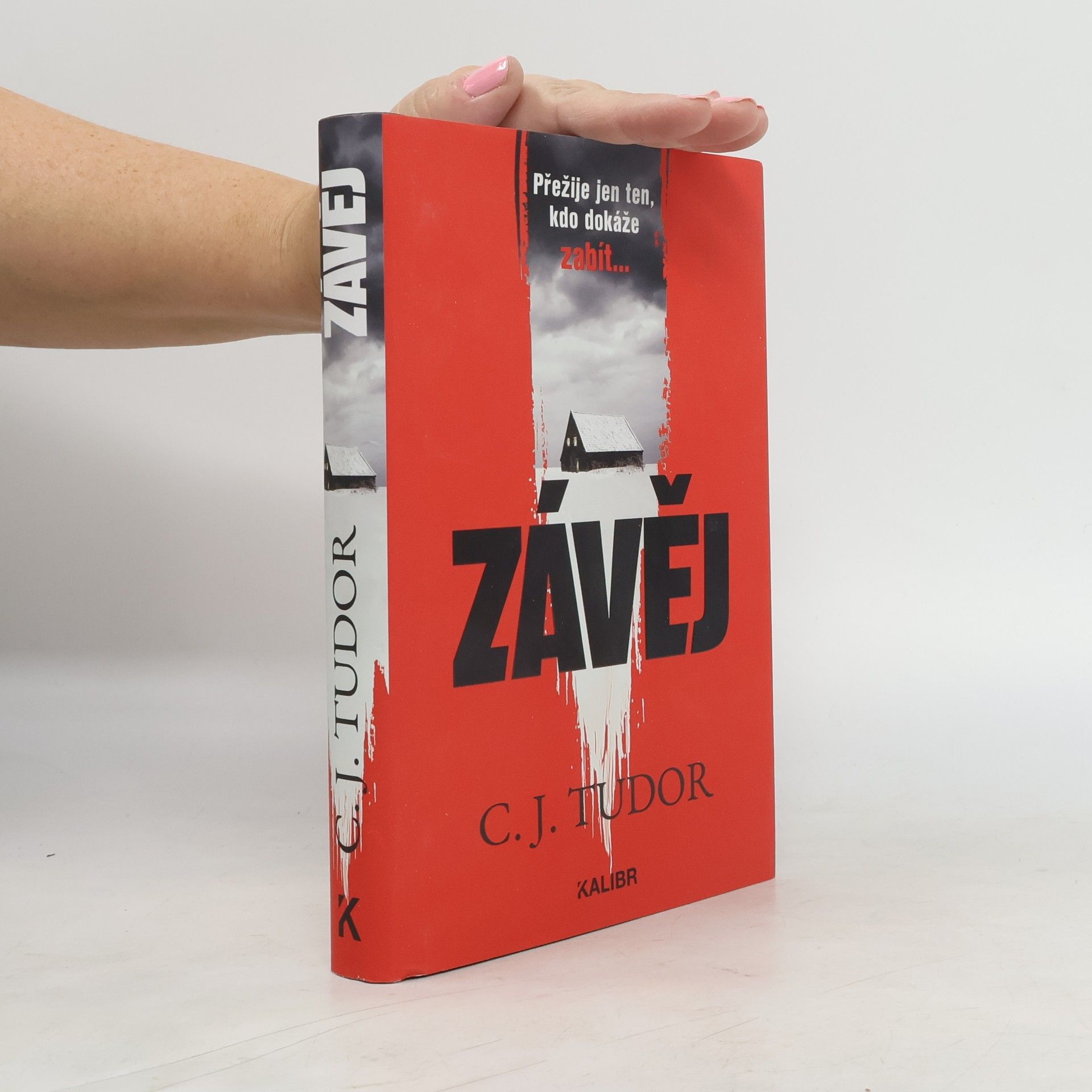 Jana Kunová Závěj