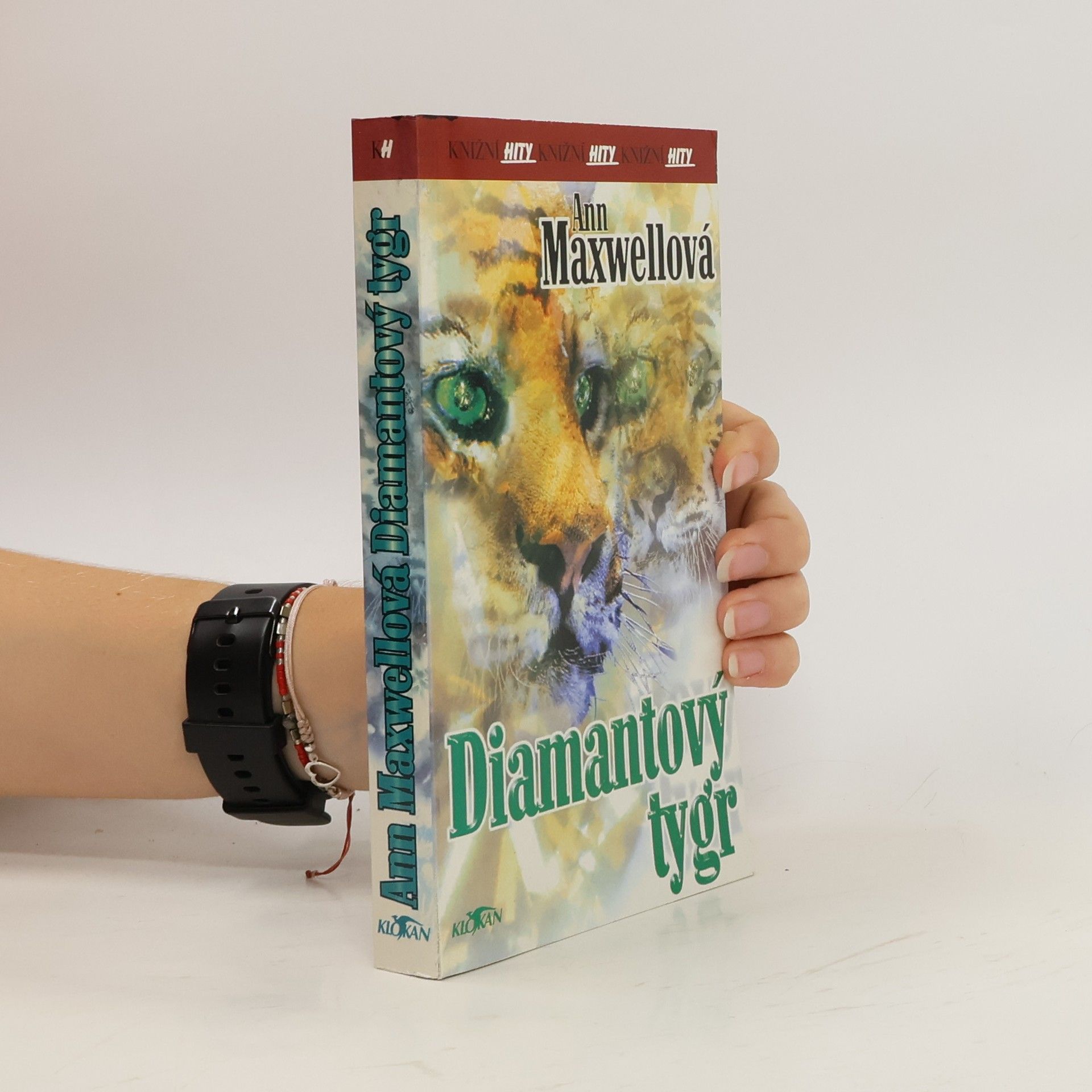 Elizabeth Lowell Diamantový tygr