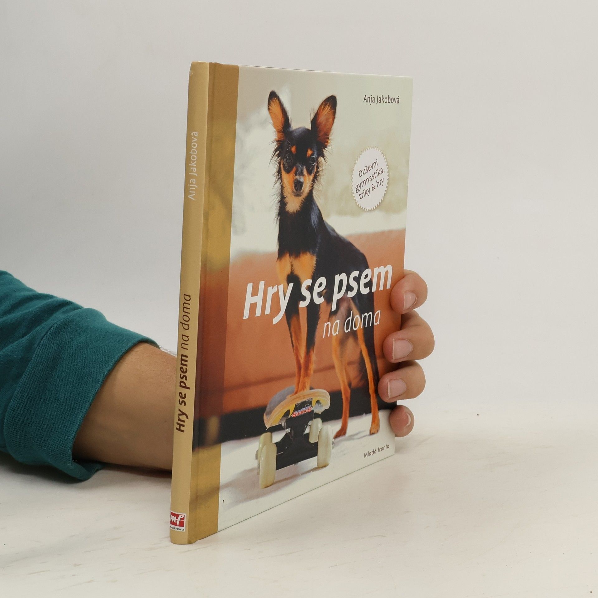 Hry se psem na doma: Duševní gymnastika, triky & hry