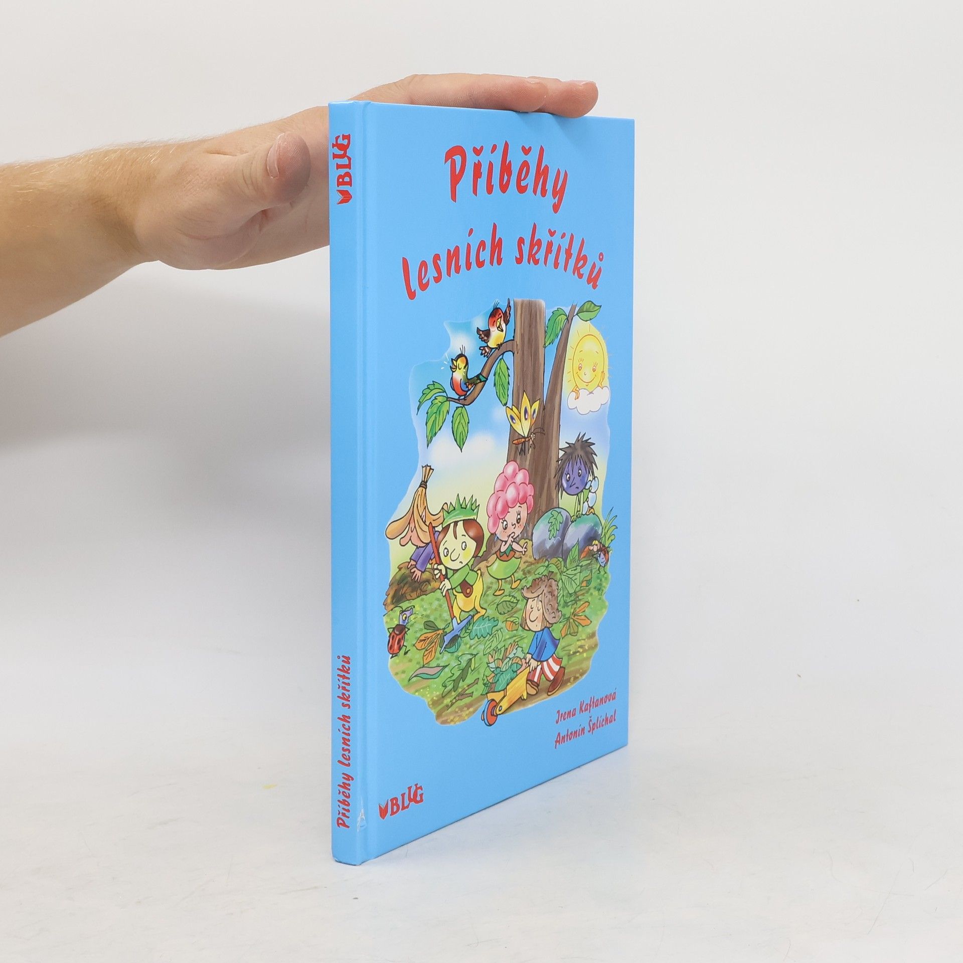 Irena Kaftanová Příběhy lesních skřítků