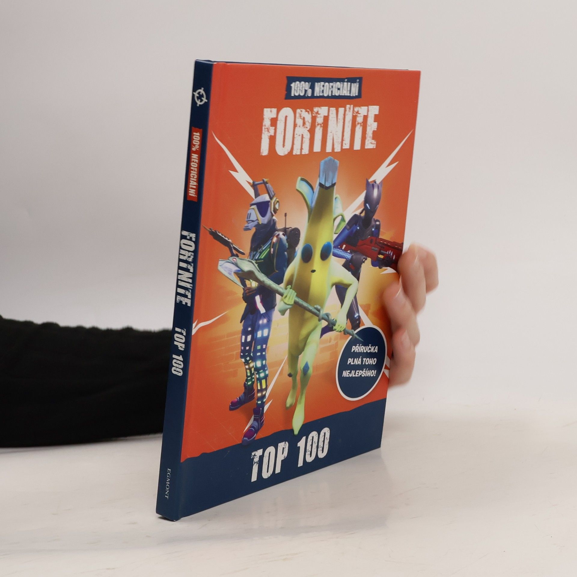 Fortnite : 100% neoficiální top 100