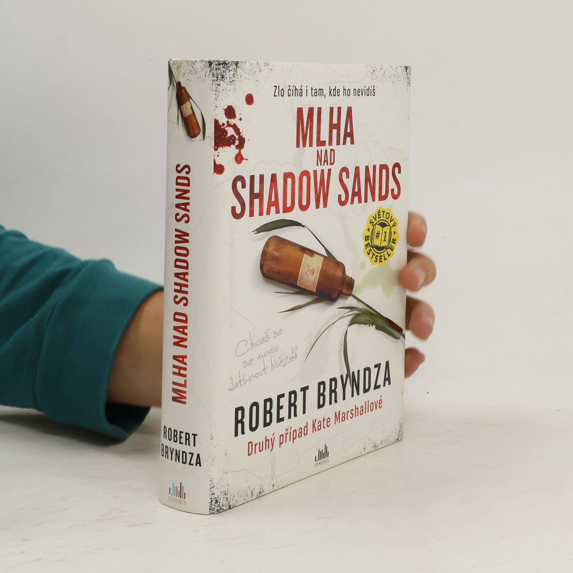 Robert Bryndza Mlha nad Shadow Sands