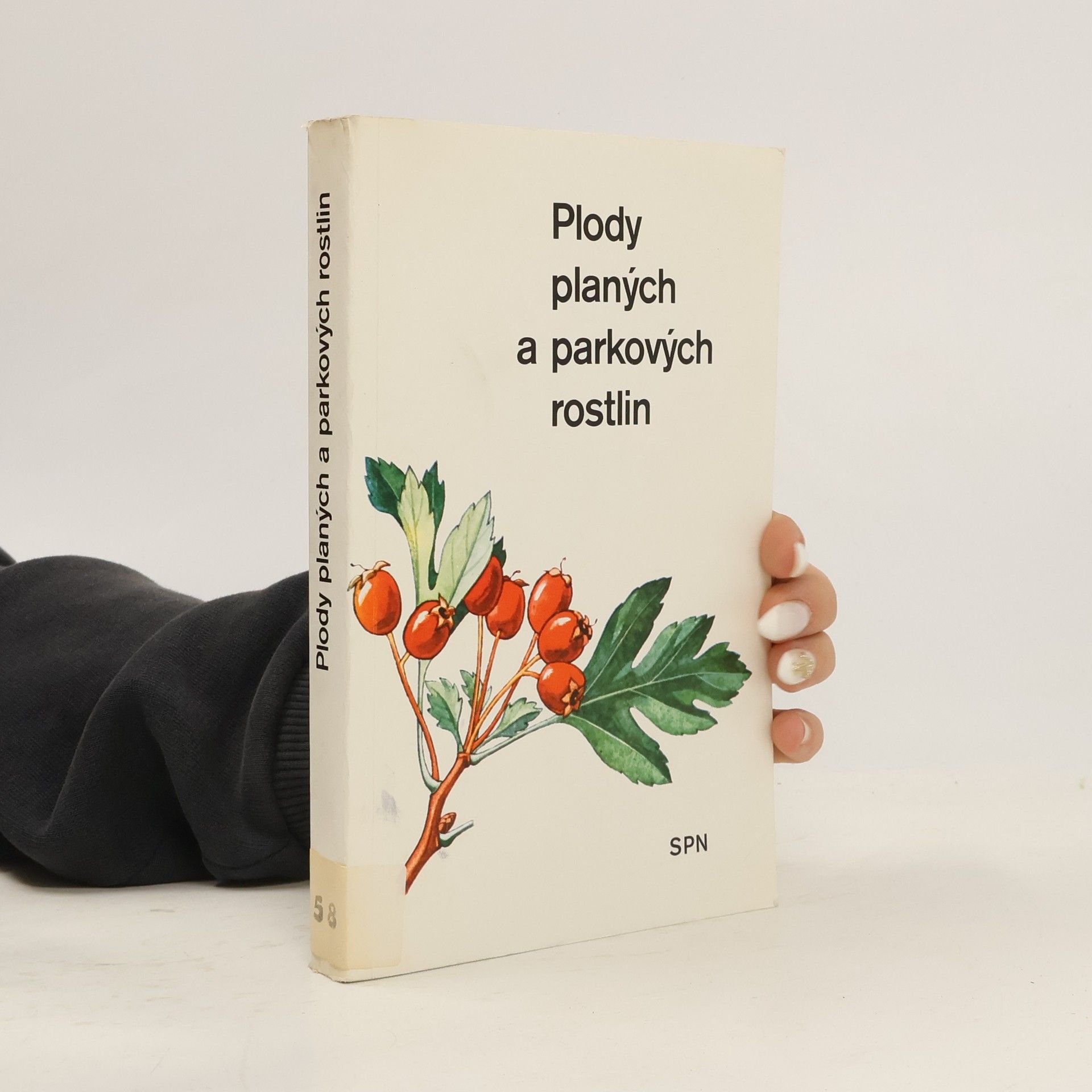 Plody planých a parkových rostlin : kapesní atlas : pomocná kniha pro biologické zájmové kroužky na školách, v Domech pionýrů a