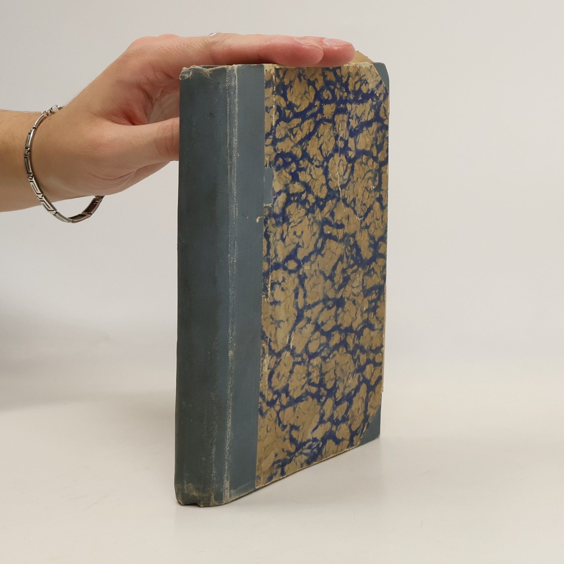 Alexandre Dumas starší Válka žen díl II.