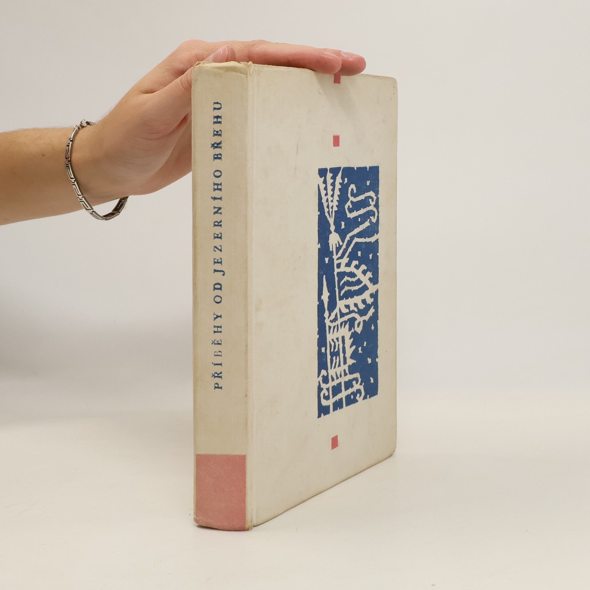 AA.VV. Příběhy od jezerního břehu