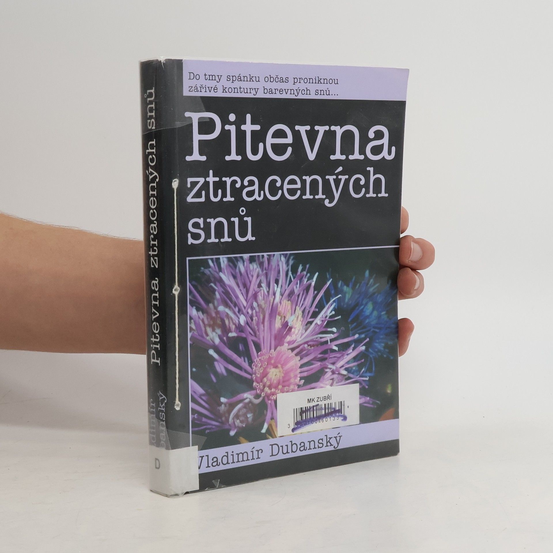Vladimír Dubanský Pitevna ztracených snů