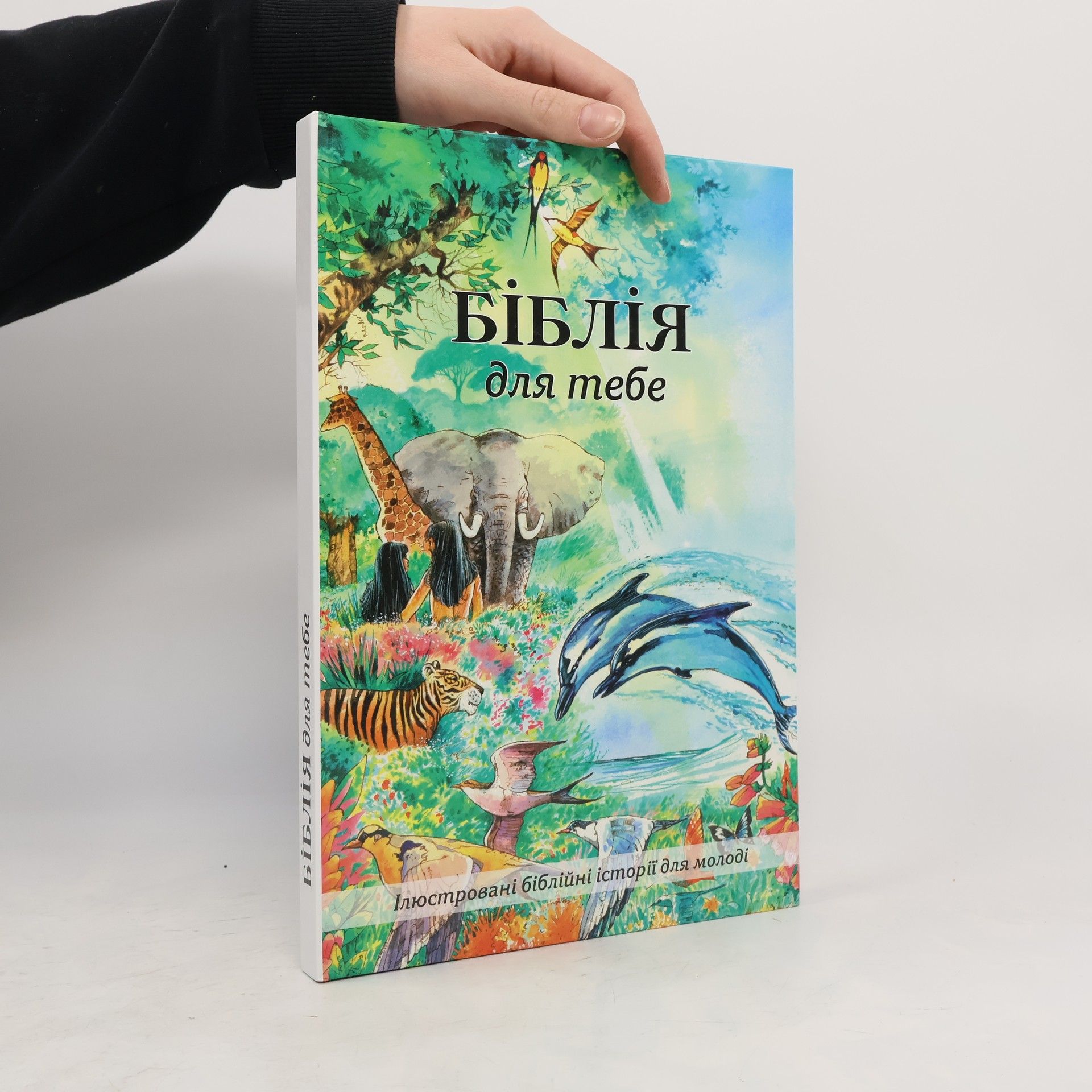 Autorenkollektiv БІБЛІЯ для тебе