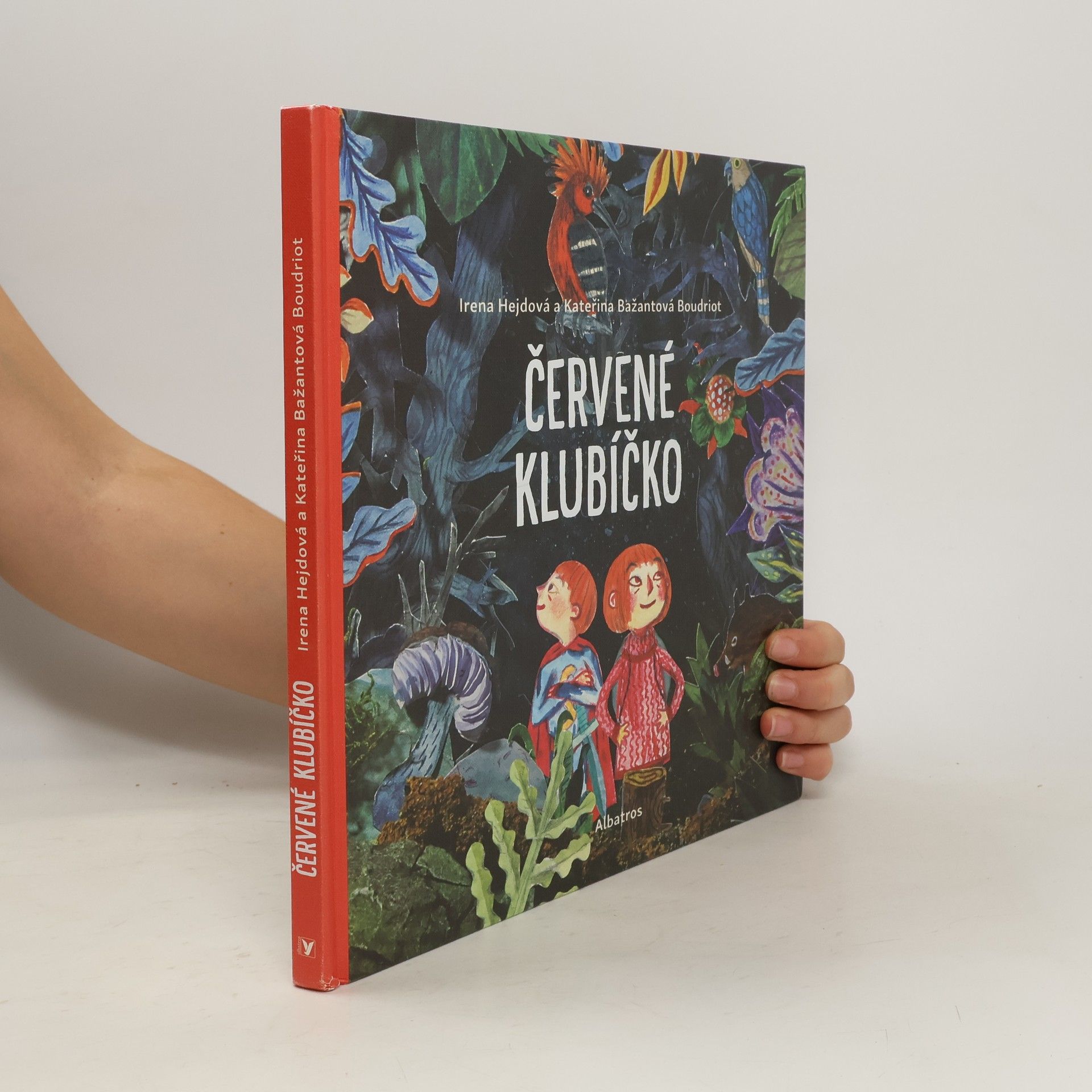 Irena Hejdová Červené klubíčko