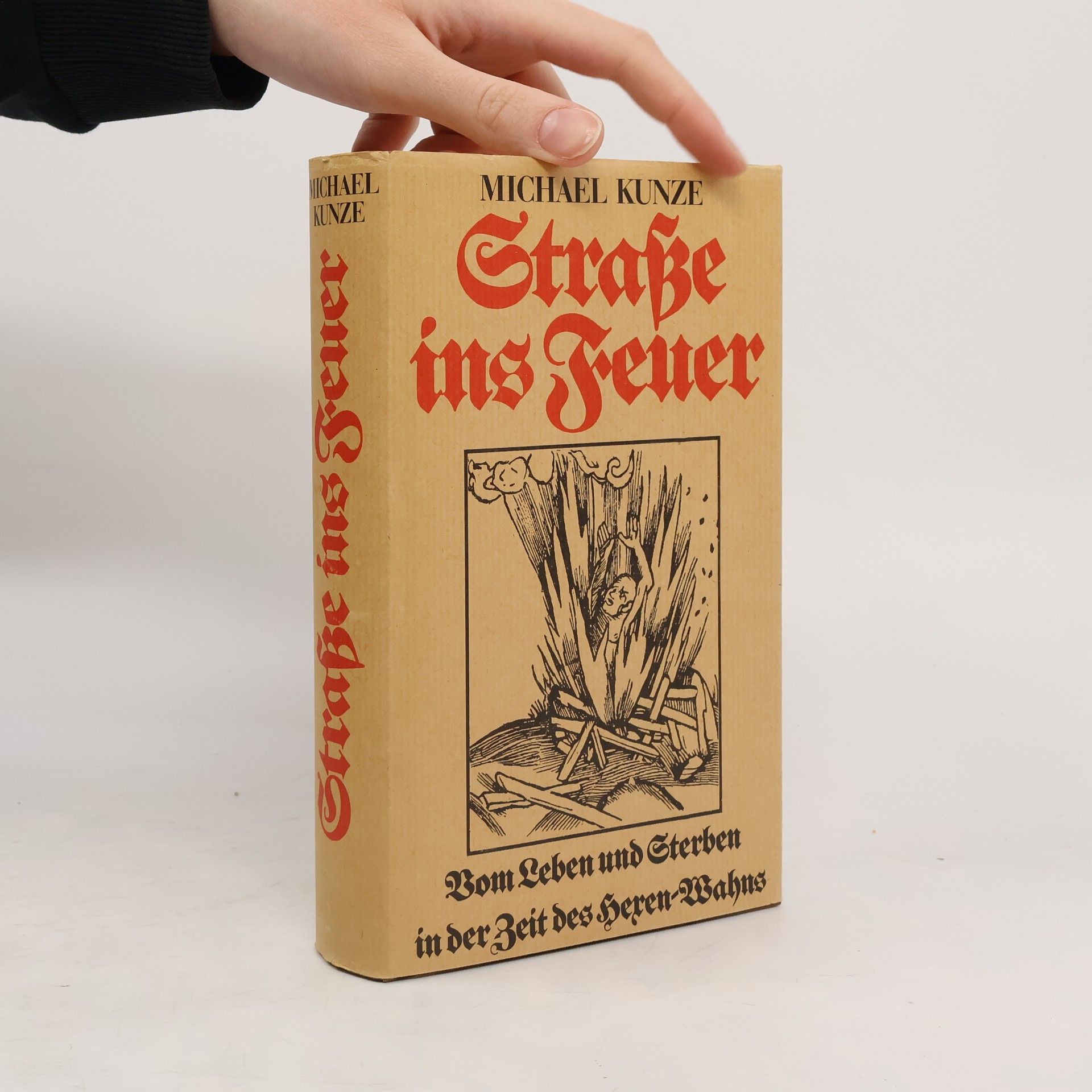 Michael Kunze Strasse ins Feuer