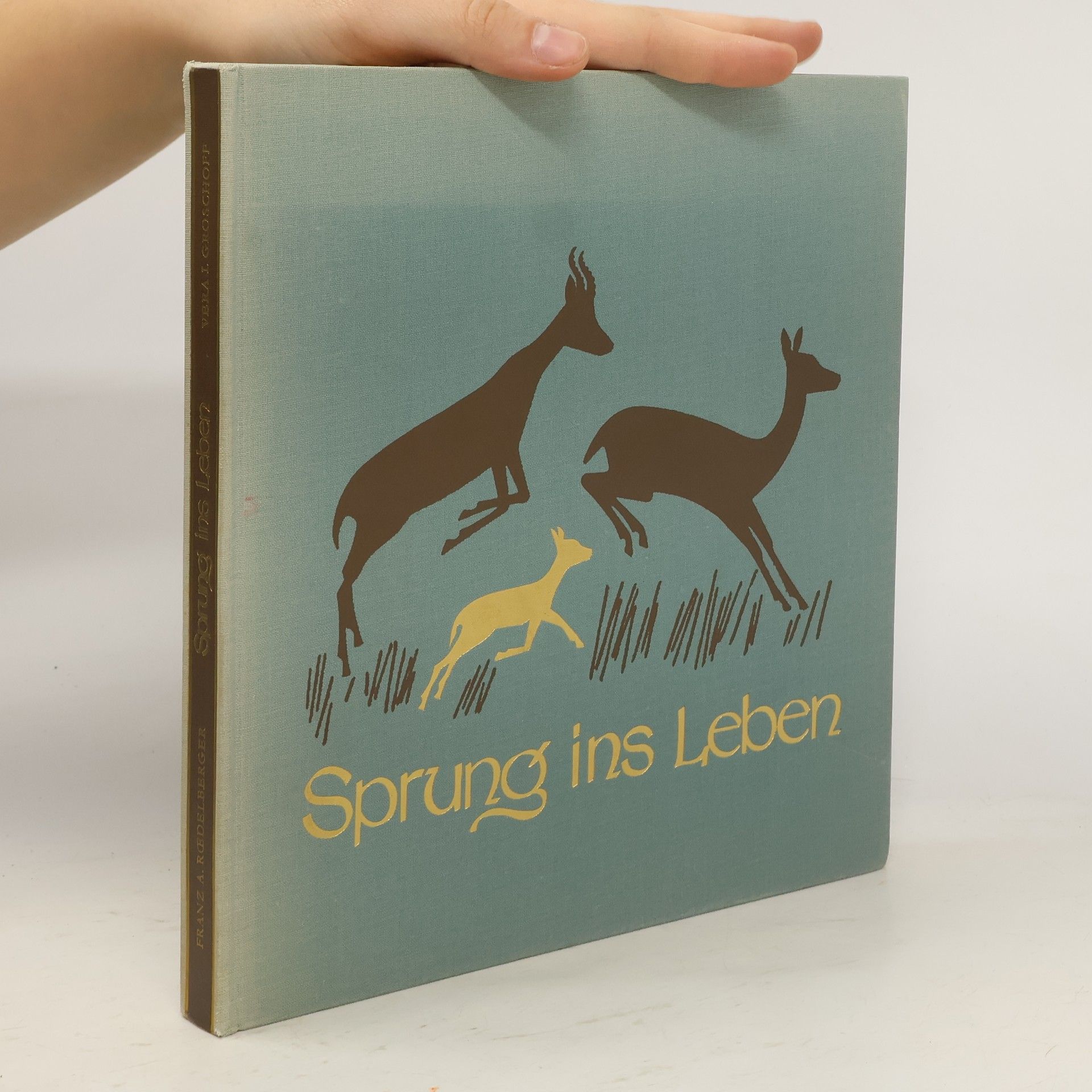 Autores varios Sprung ins Leben