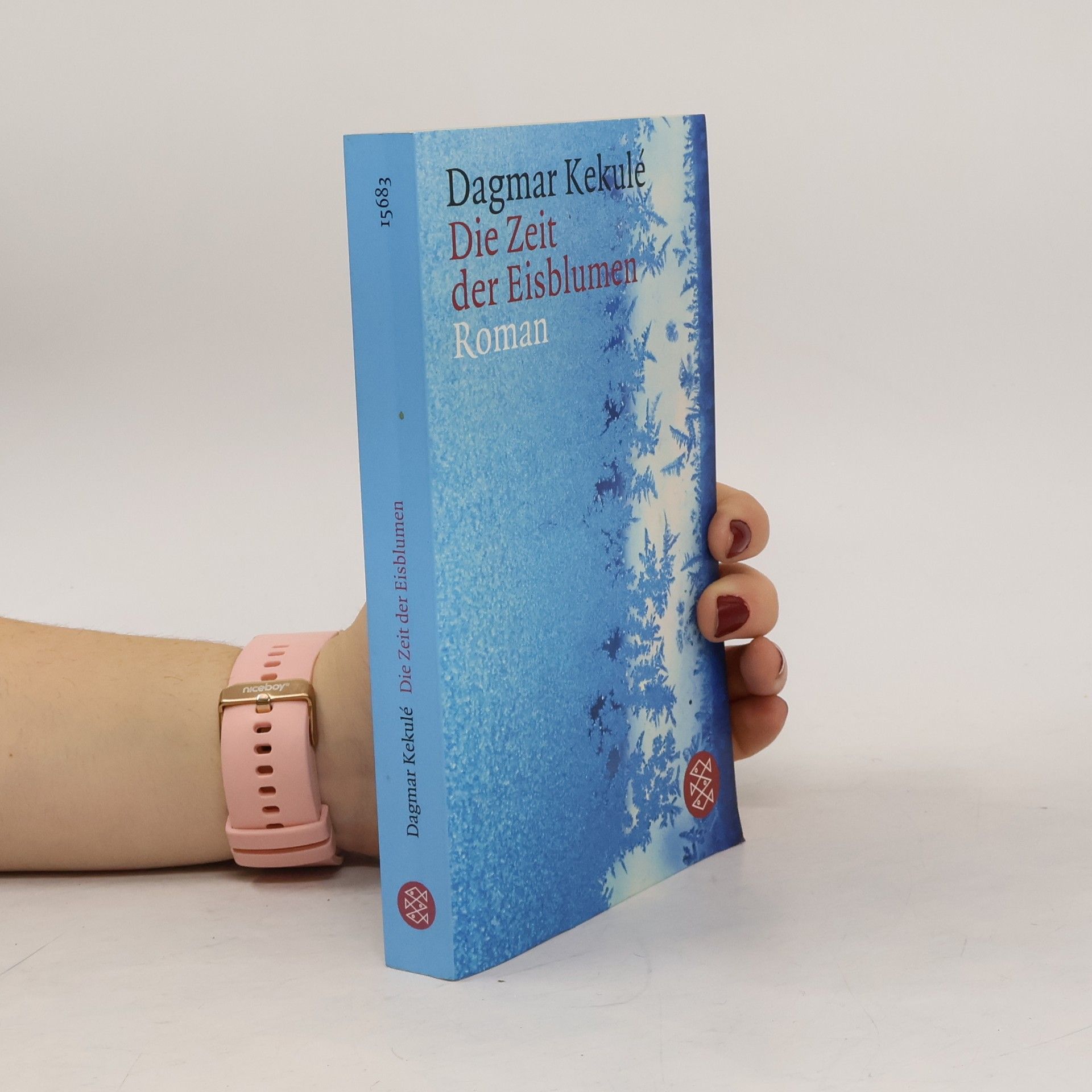 Die Zeit der Eisblumen