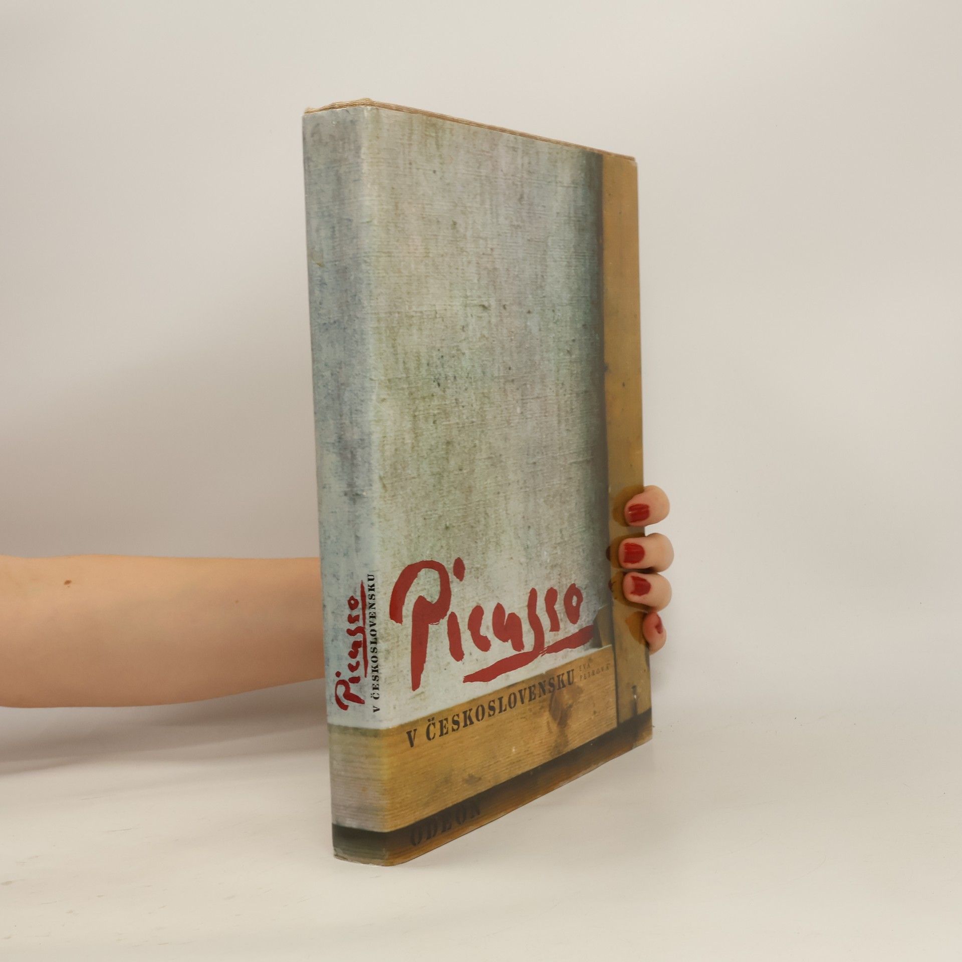 Eva Petrová Picasso v Československu