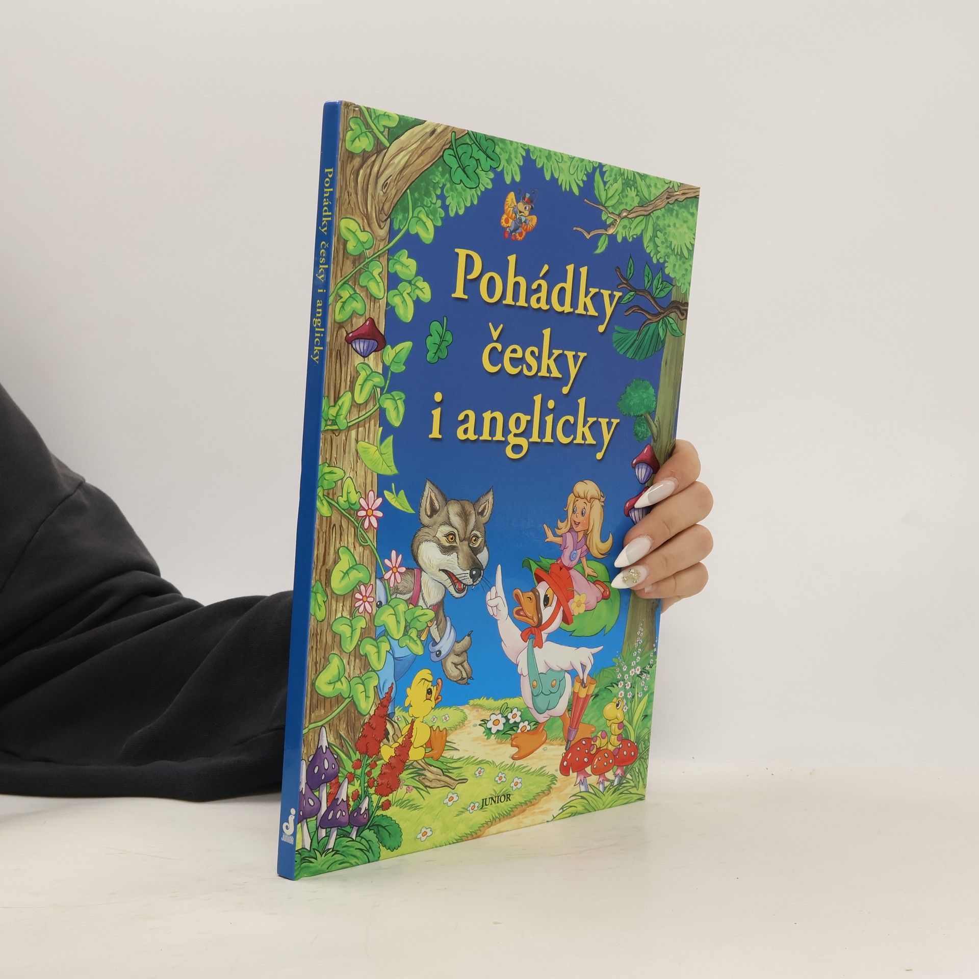 Dorota Fic Pohádky česky i anglicky