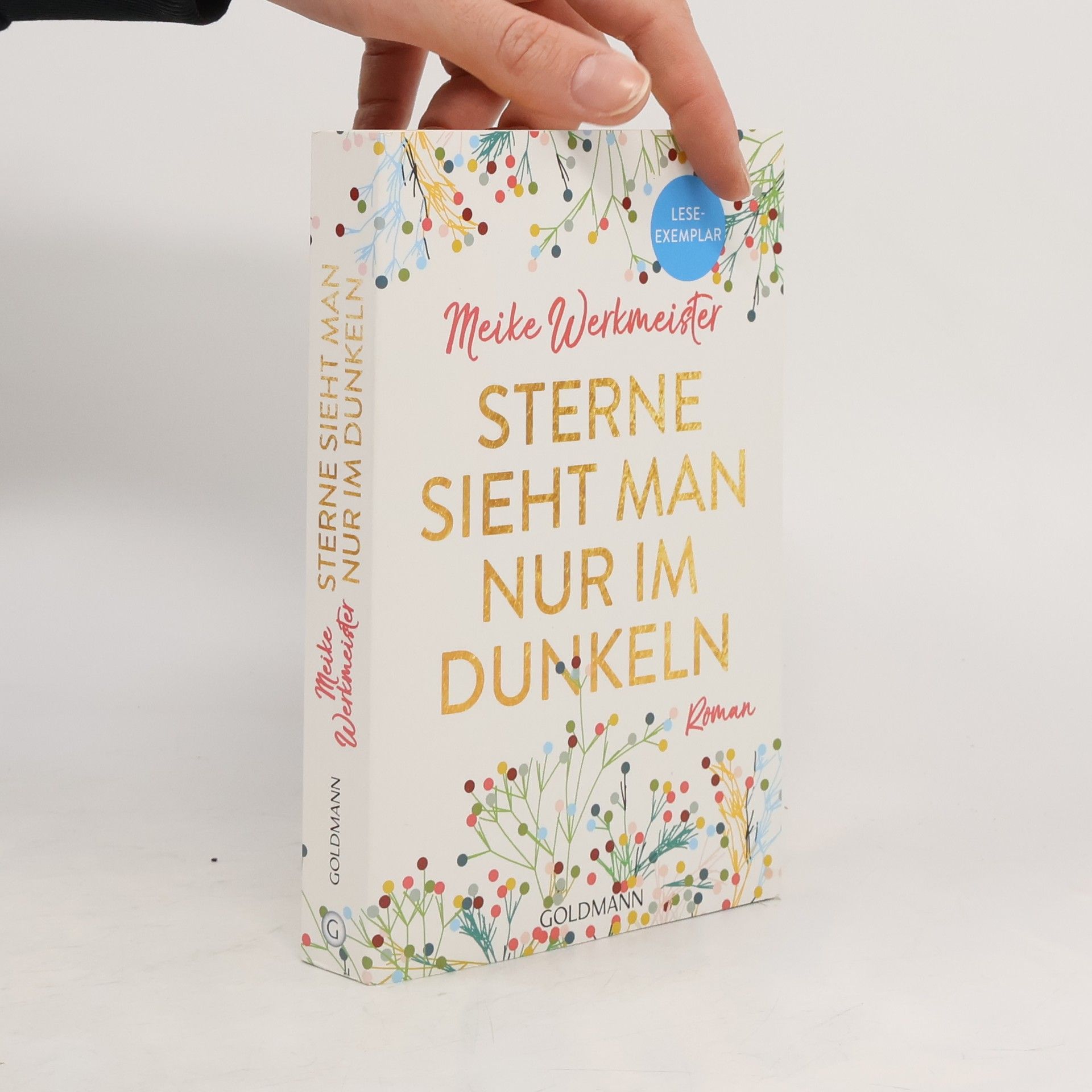 Meike Werkmeister Sterne sieht man nur im Dunkeln