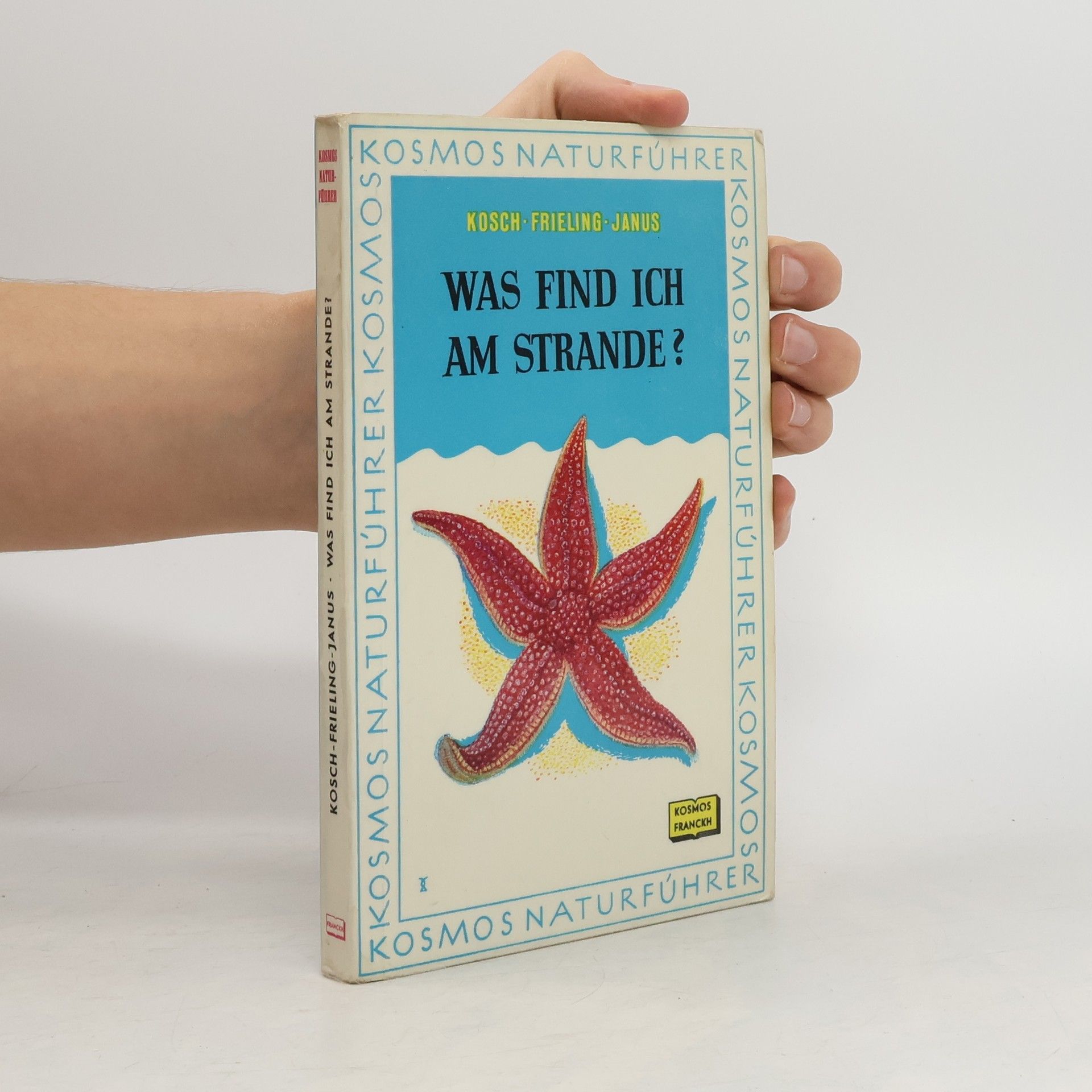 Was Find Ich am Strande?