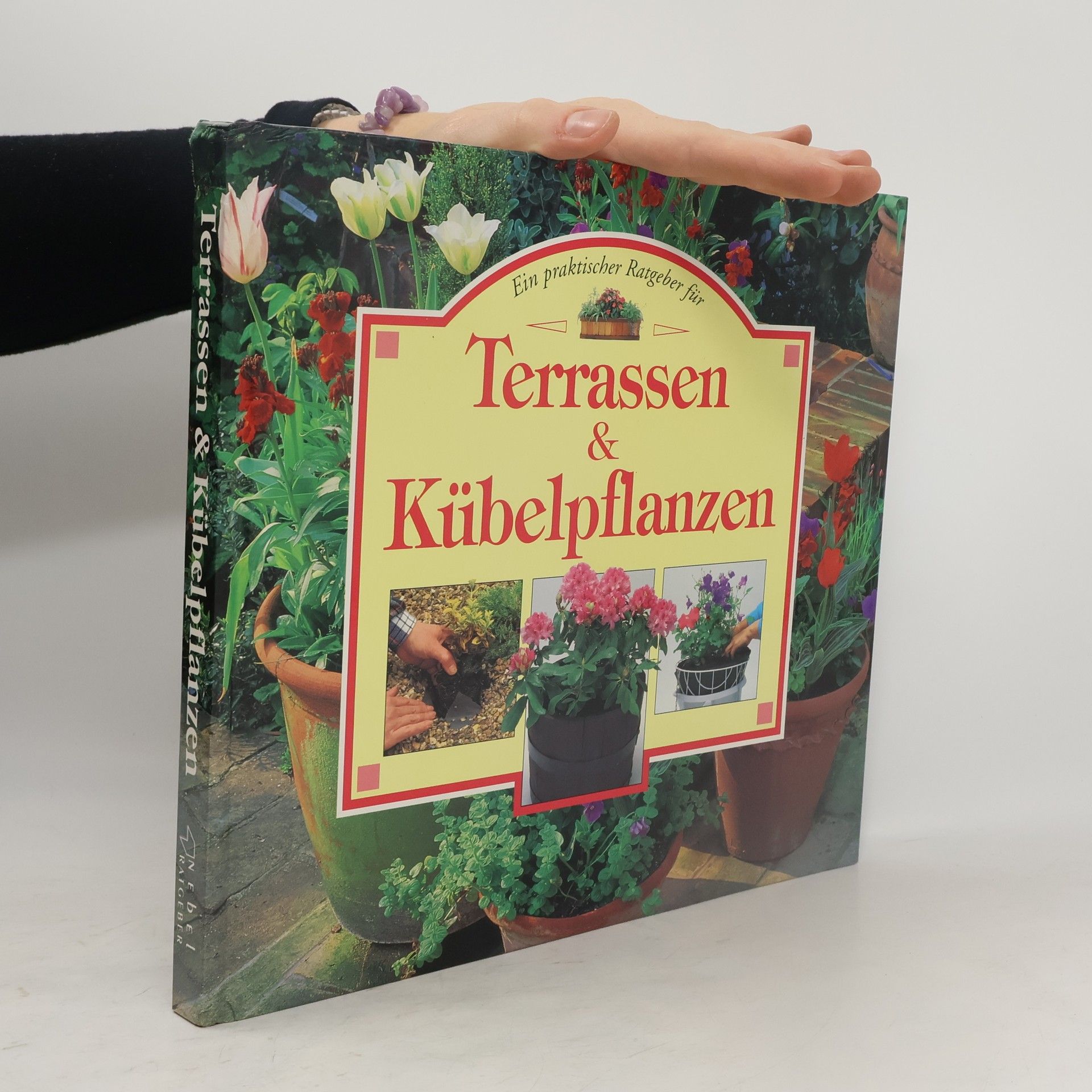 Ein praktischer Ratgeber für Terrassen & Kübelpflanzen