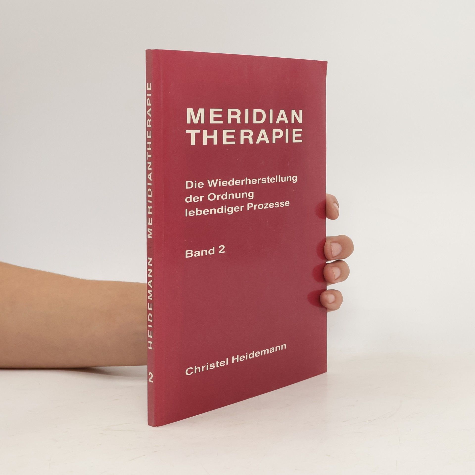 Christel Heidemann Meridian Therapie 2