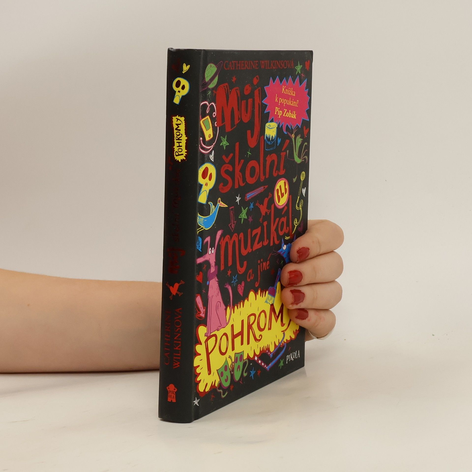 Můj školní muzikál a jiné pohromy