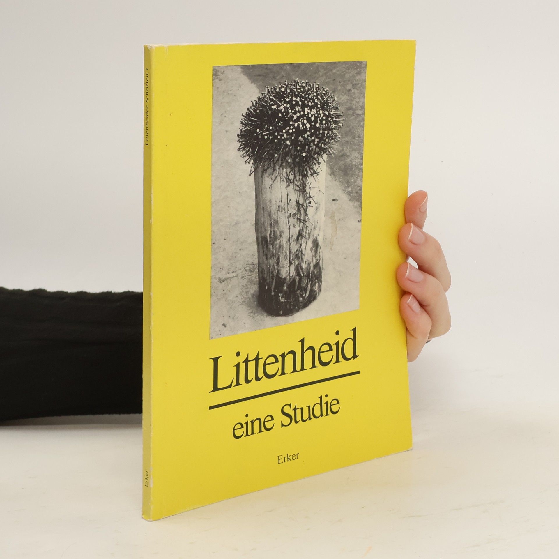 Collectif d'auteurs Littenheid eine Studie