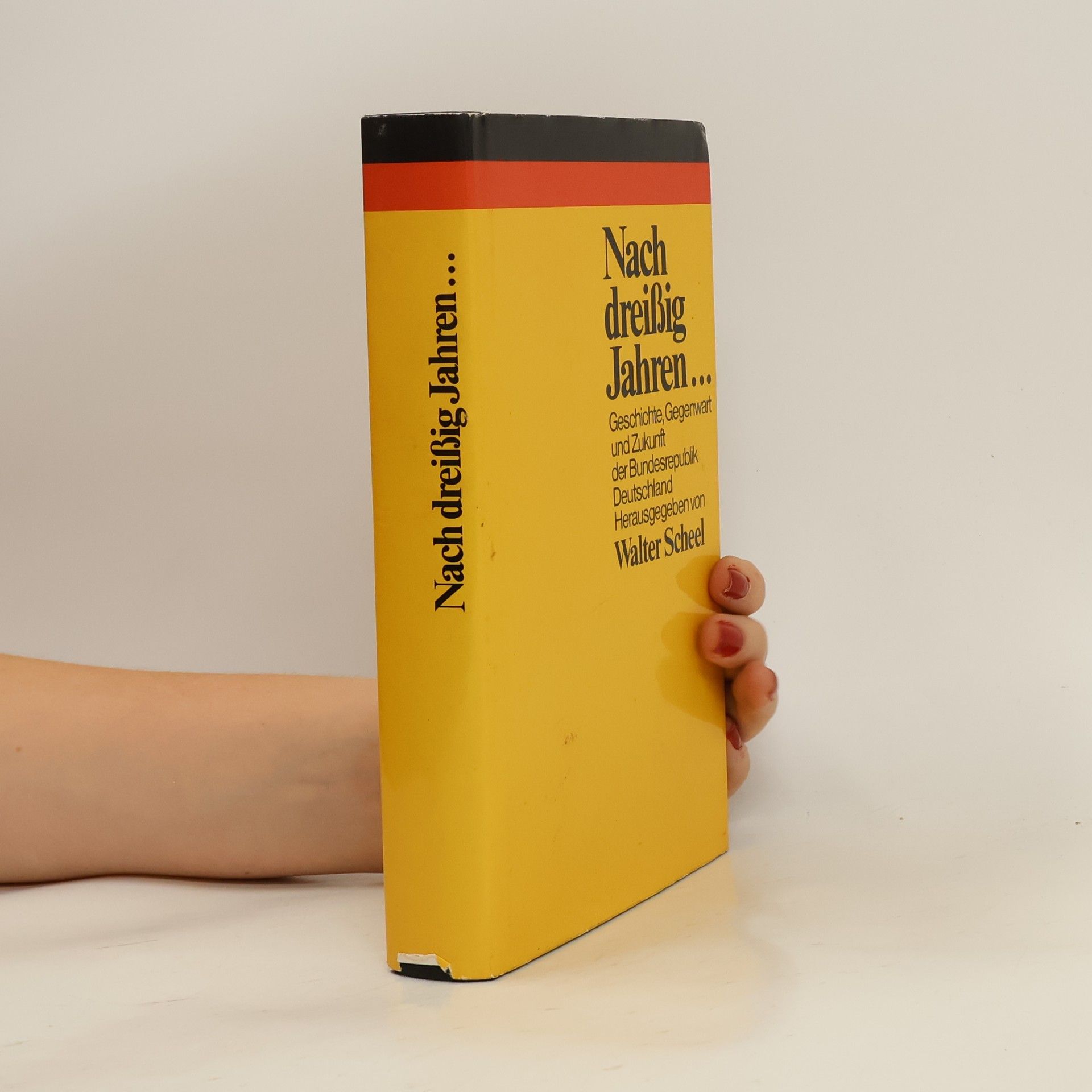 AA.VV. Nach dreißig Jahren… Geschichte, Gegenwart und Zukunft der Bundesrepublik Deutschland