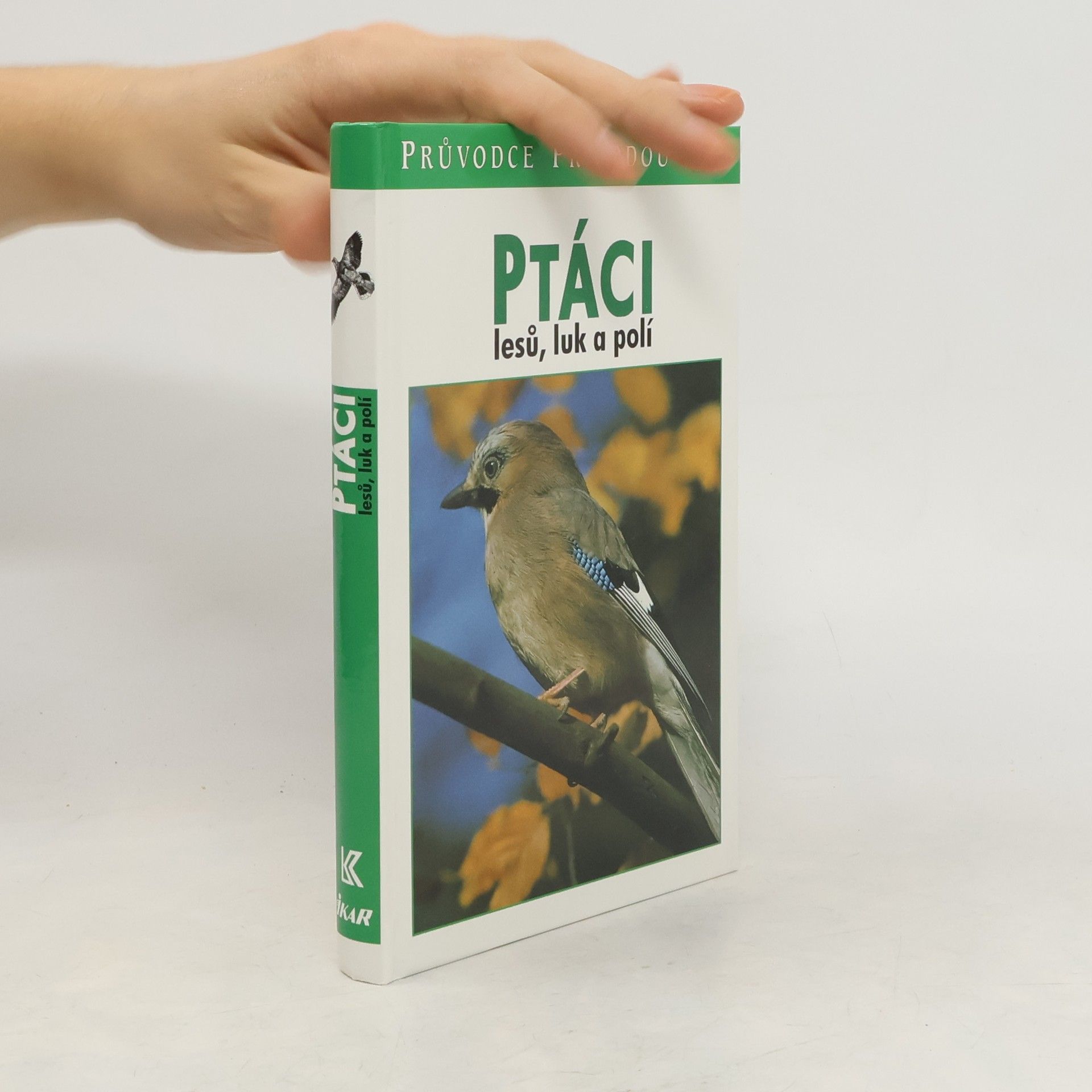 Sauer Frieder Ptáci lesů, luk a polí