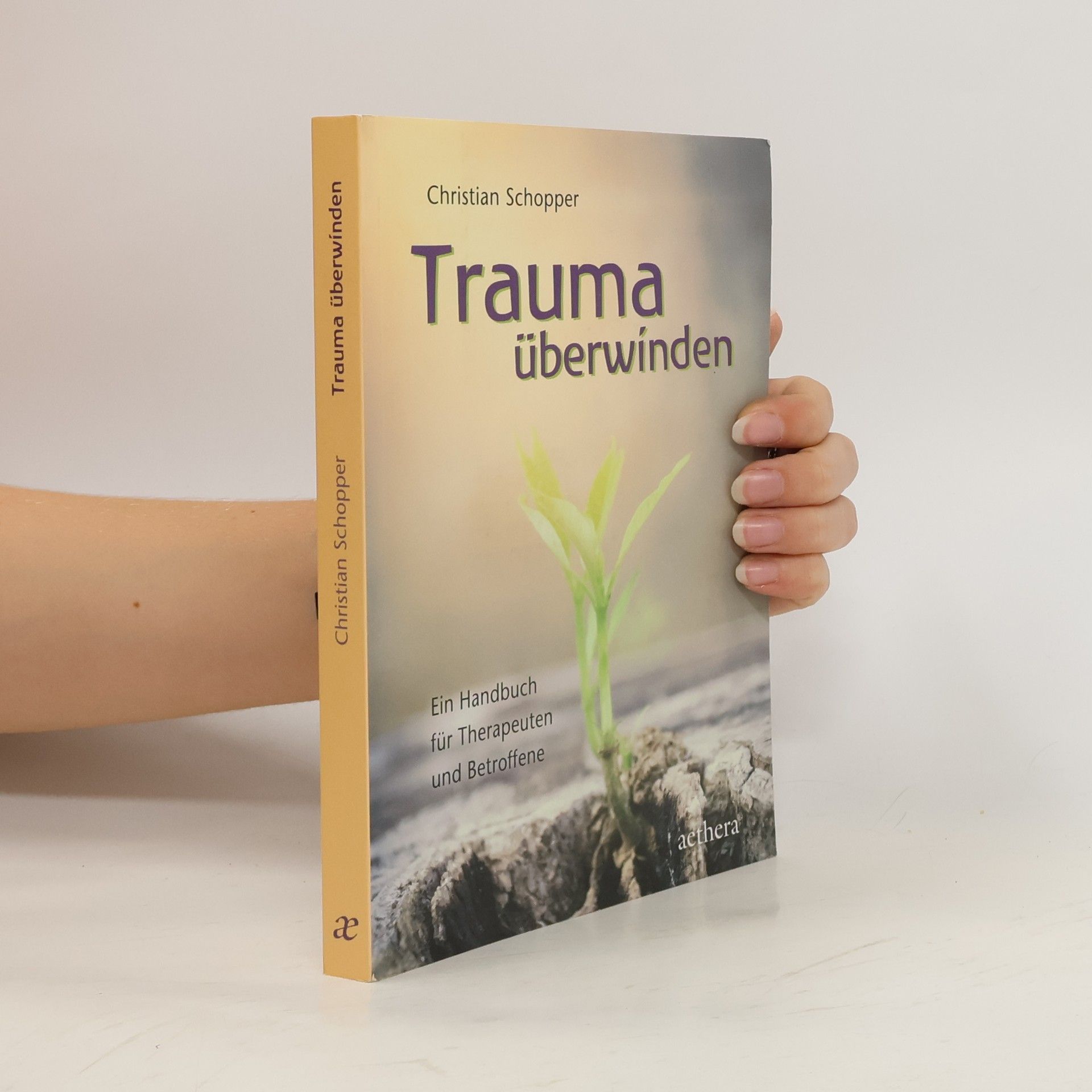 Trauma überwinden