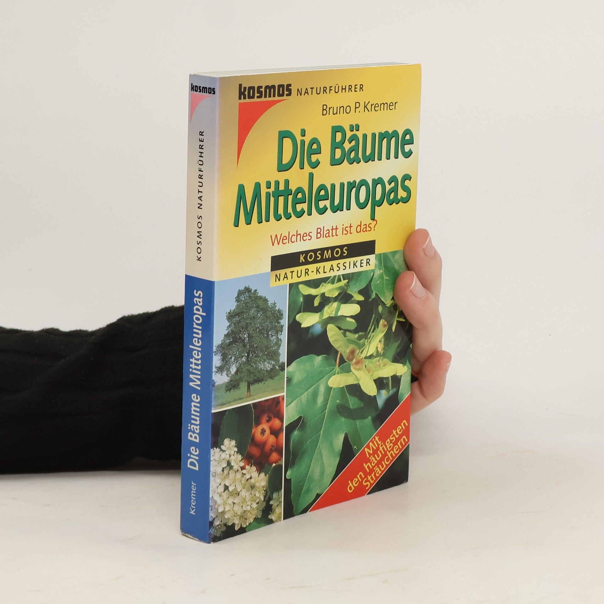 Bruno Kremer Die Bäume Mitteleuropas