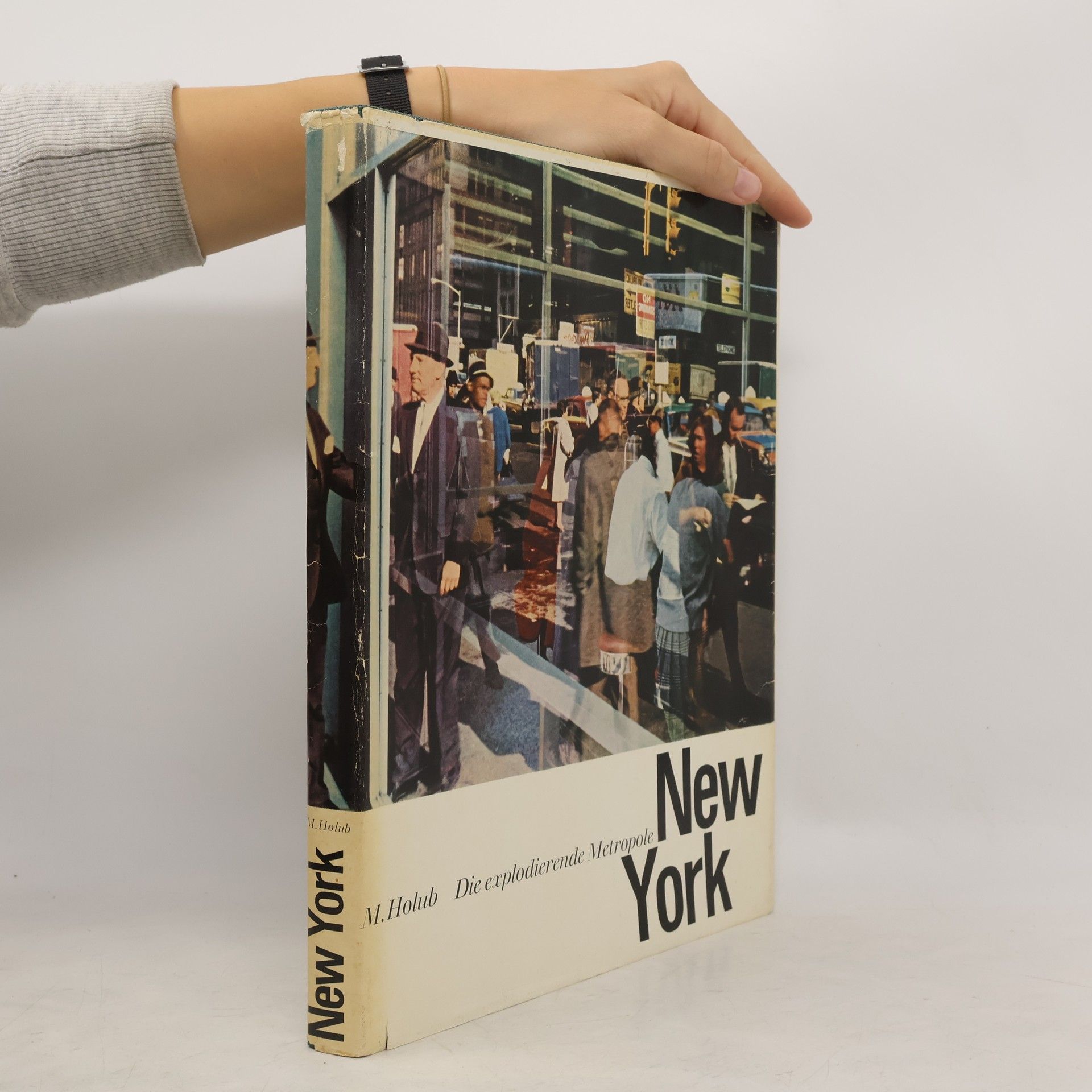 Miroslav Holub Die explodierende Metropole New York