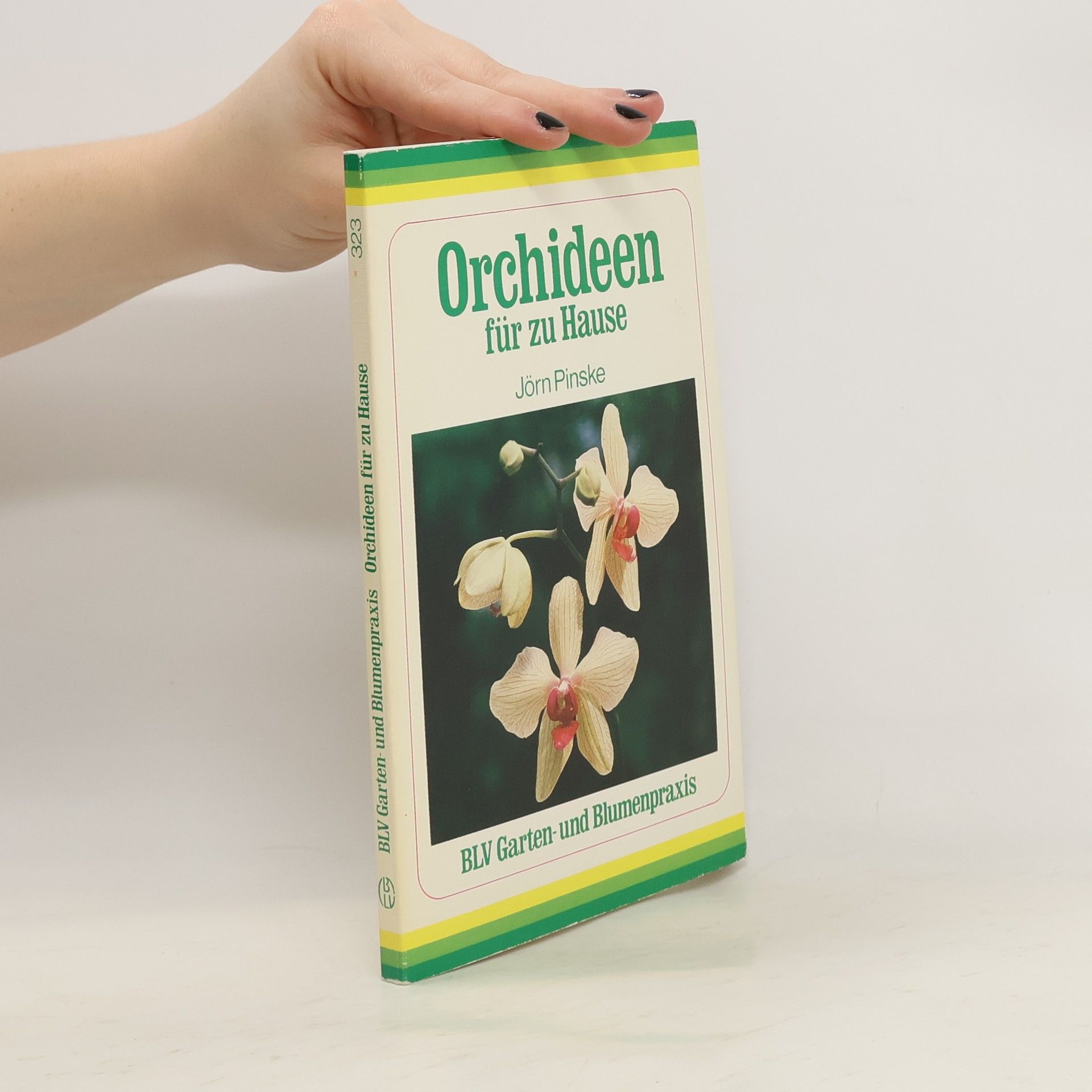 Jörn Pinske Orchideen für zu Hause