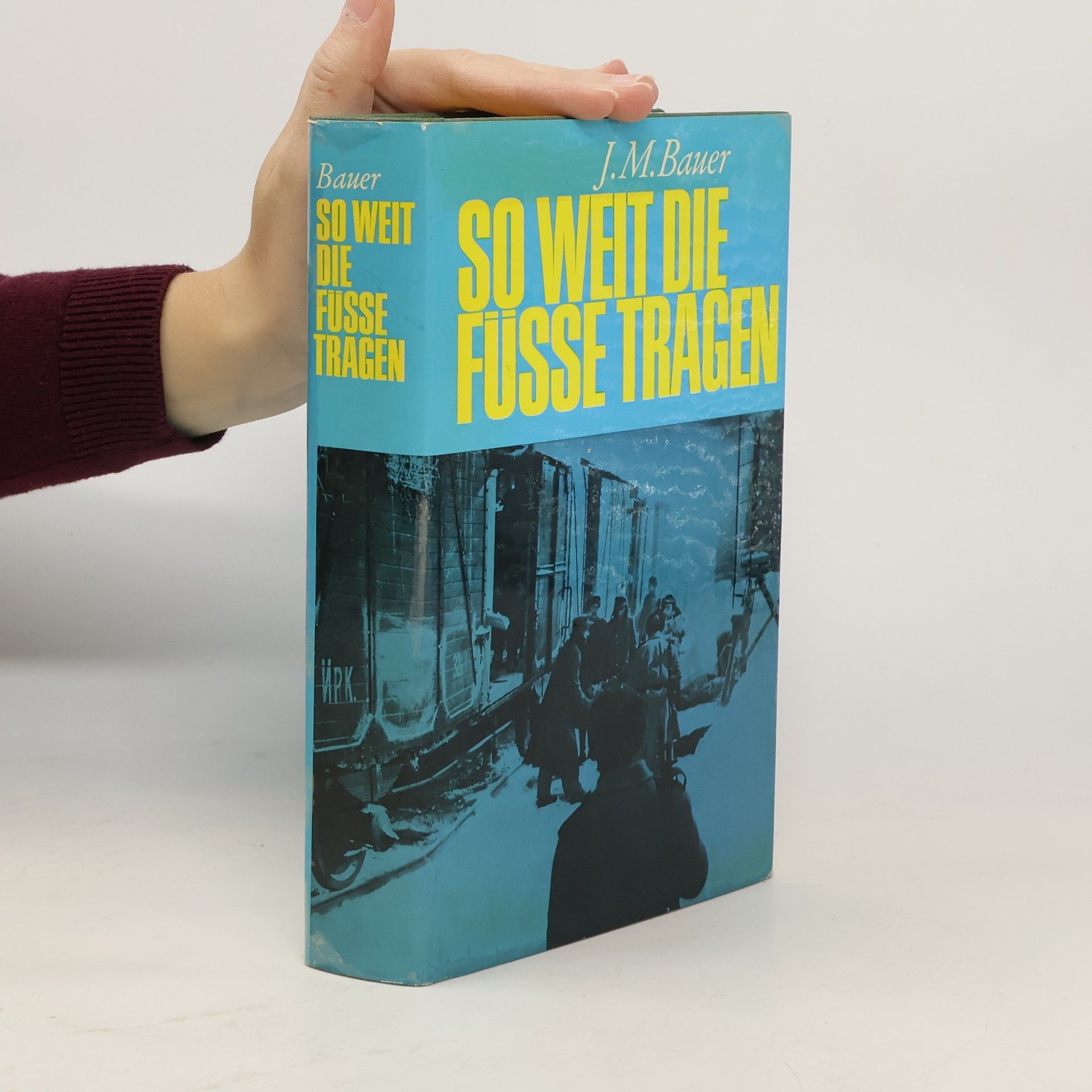 J.M. Bauer So Weit die Füsse Tragen