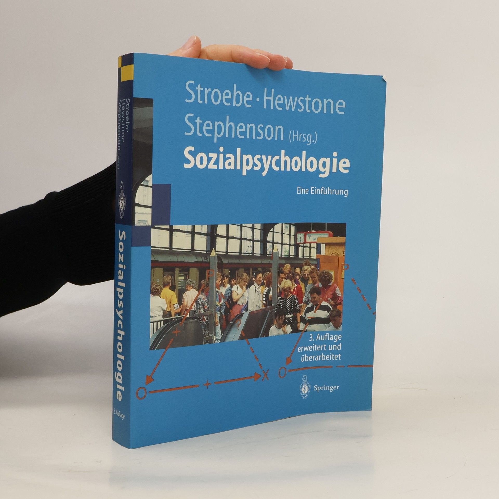 Wolfgang Stroebe Sozialpsychologie